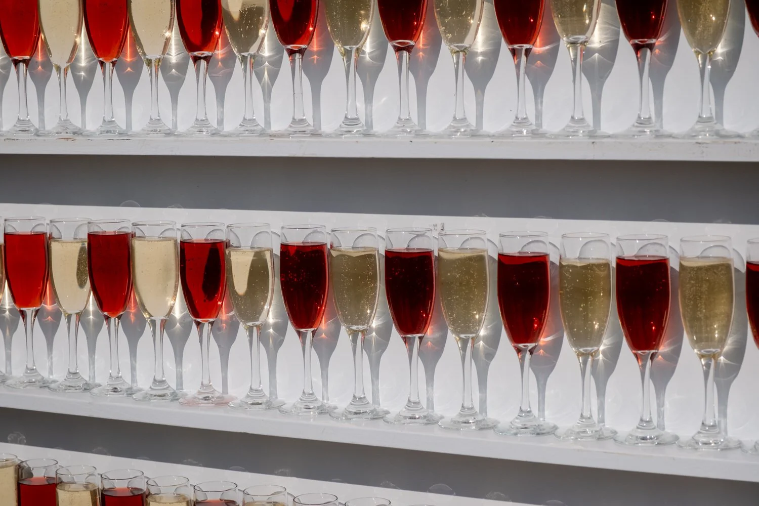 wine glasses lined up for a toast