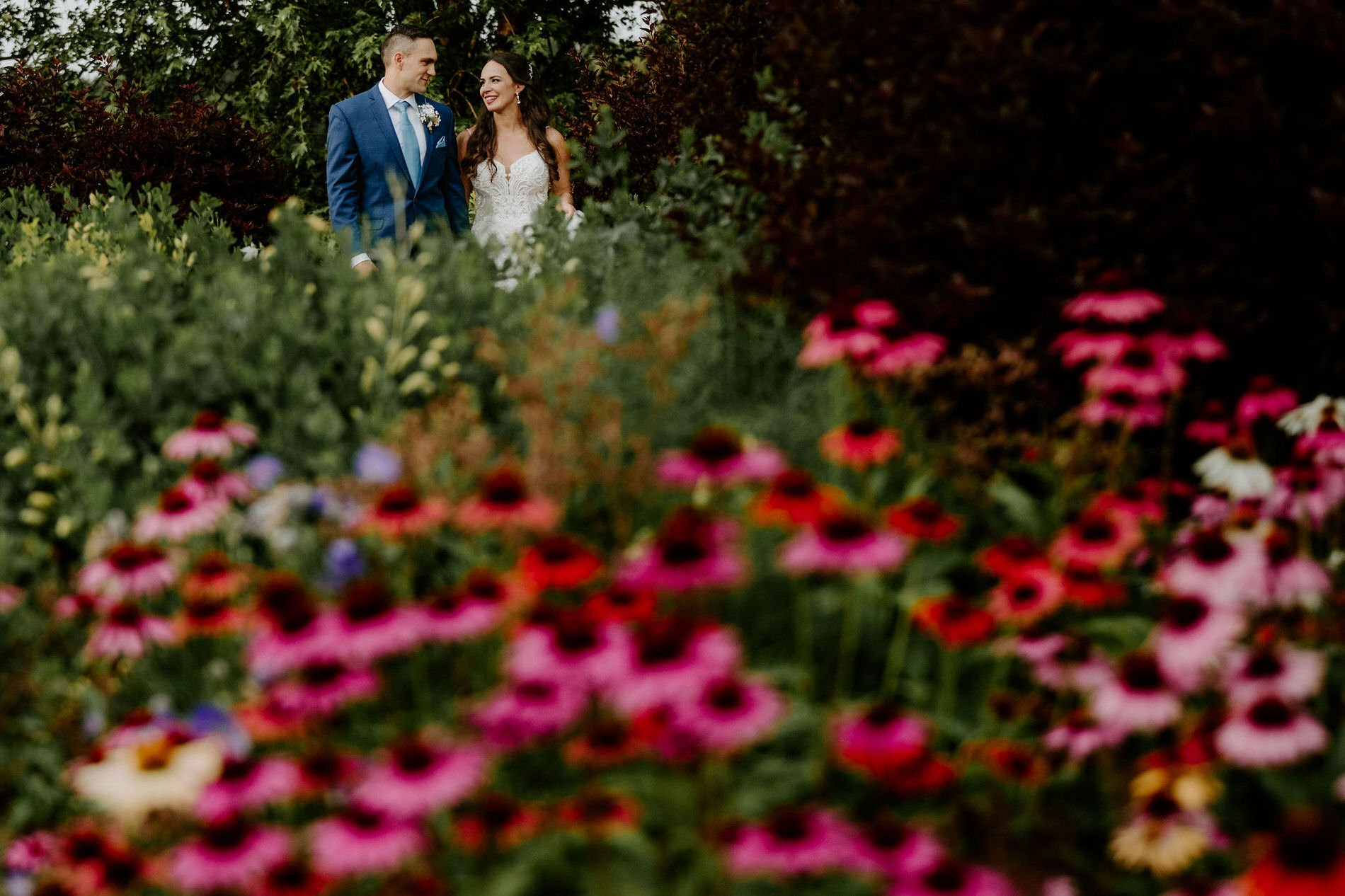 Holly and Petar in the distance, seen through a blur of pink and red coneflowers in the gardens at Evermore