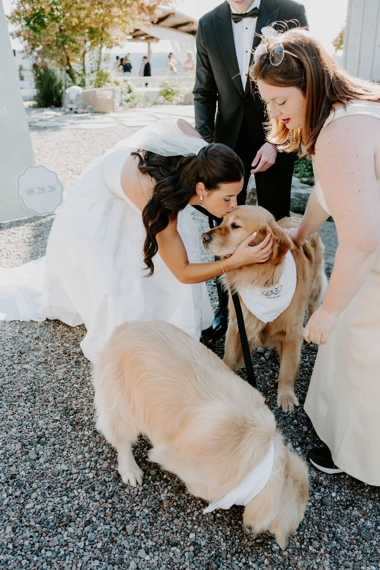 Kylie kissing one of her golden retrievers beside a sign marking the wedding date, 08.28.26