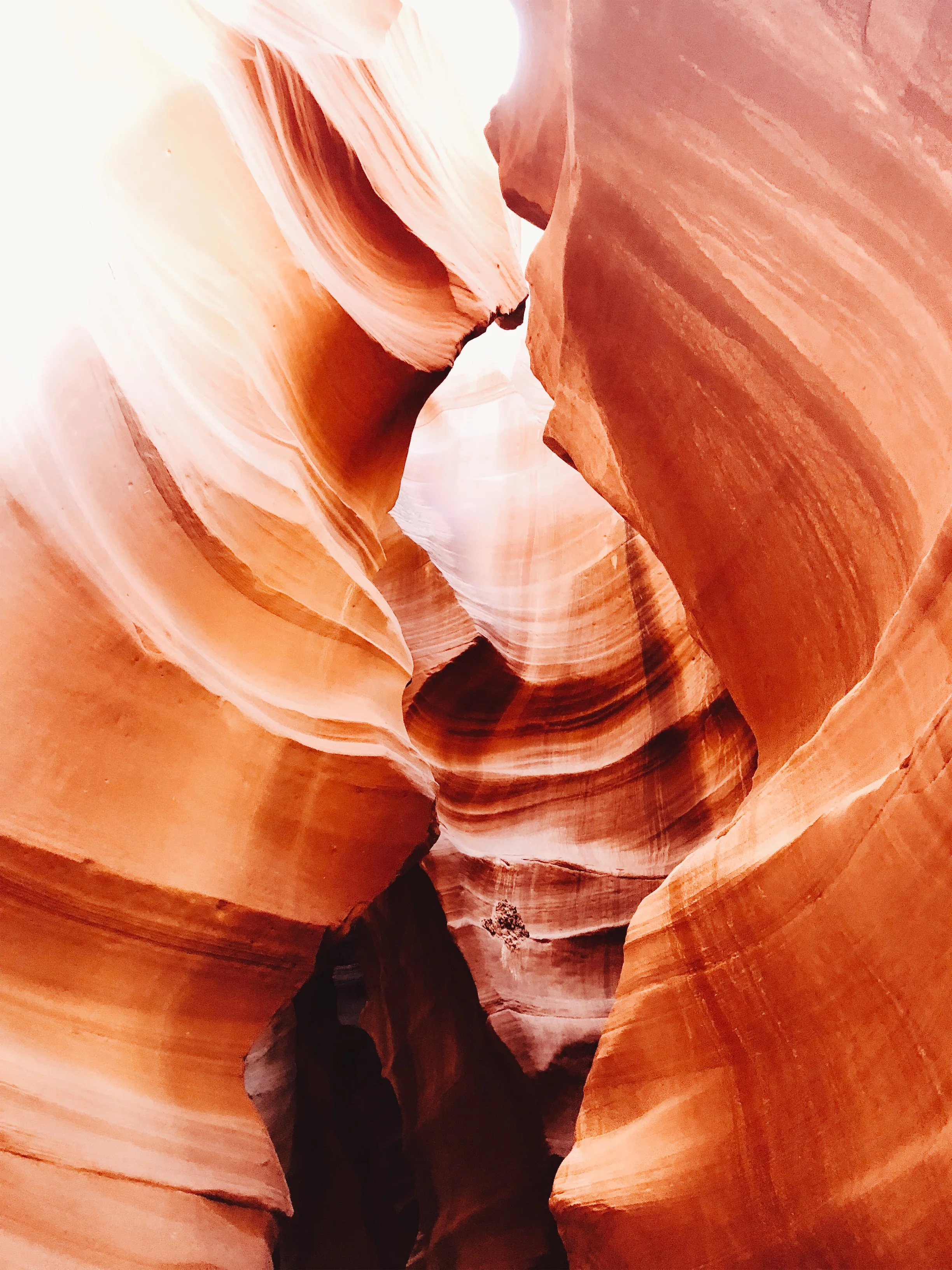 Processed with VSCO with a6 preset