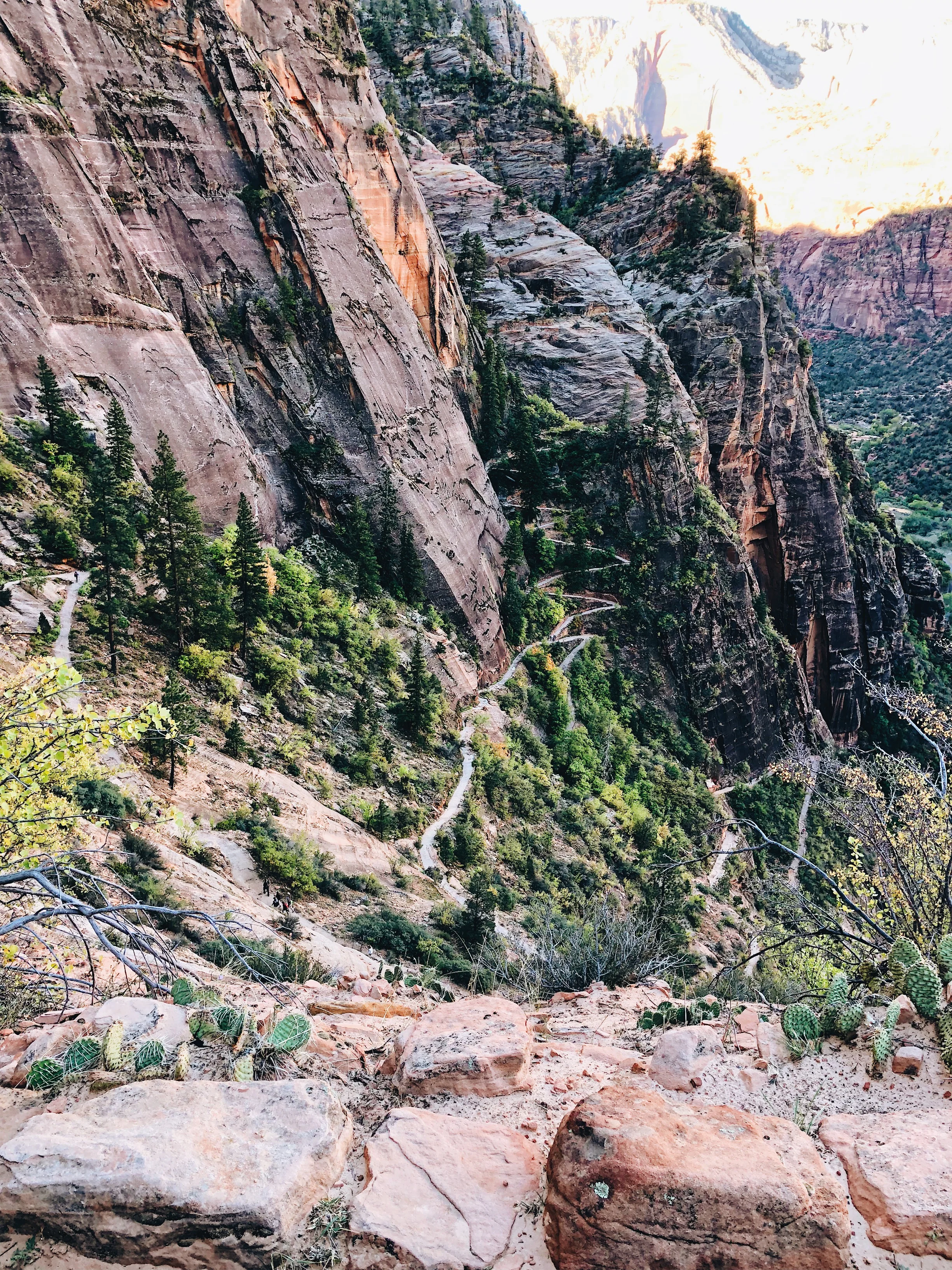 Processed with VSCO with a6 preset