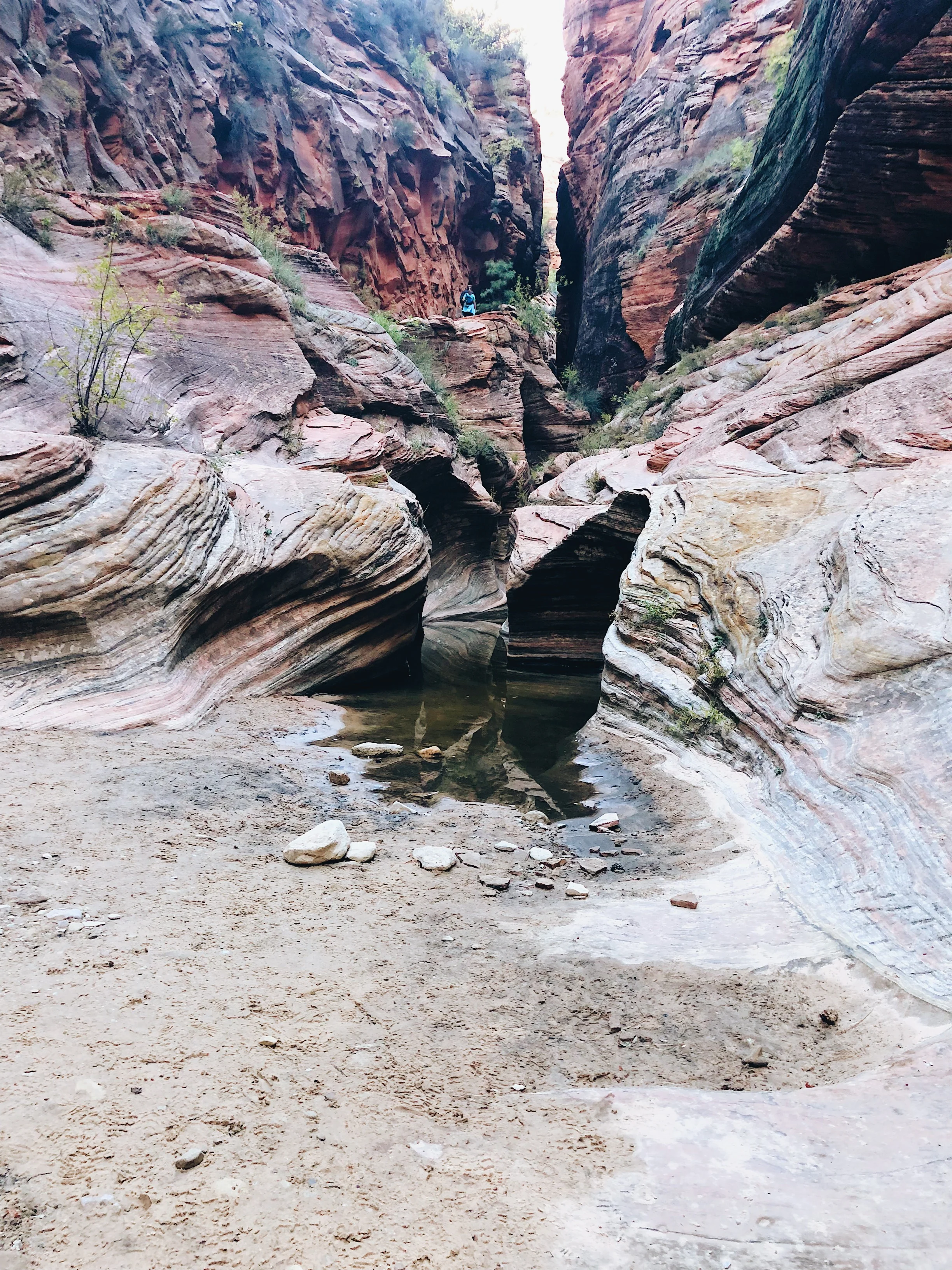 Processed with VSCO with a6 preset