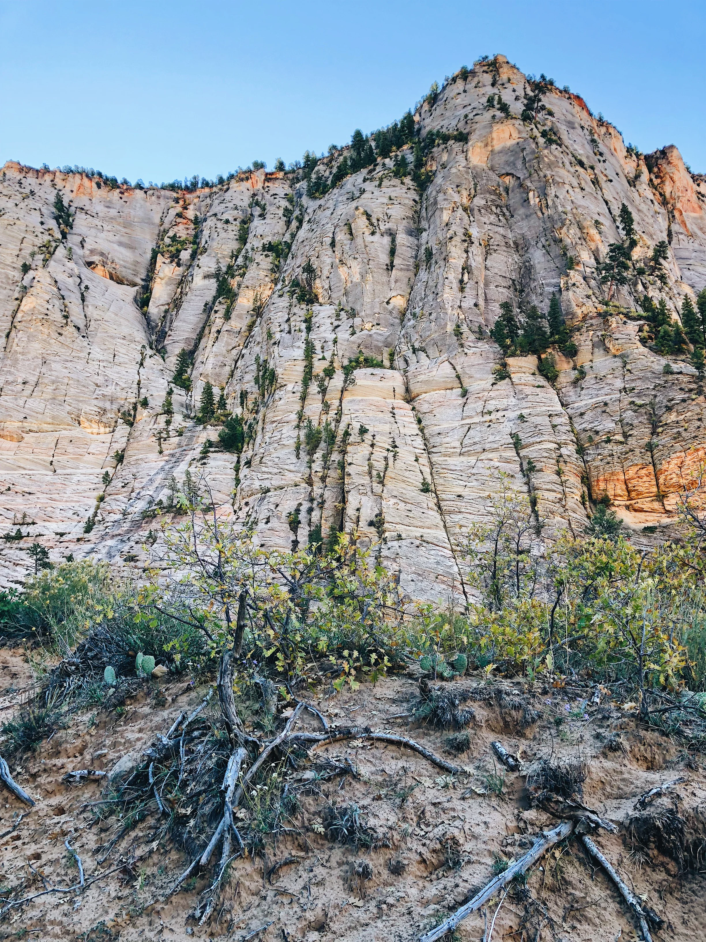 Processed with VSCO with a6 preset