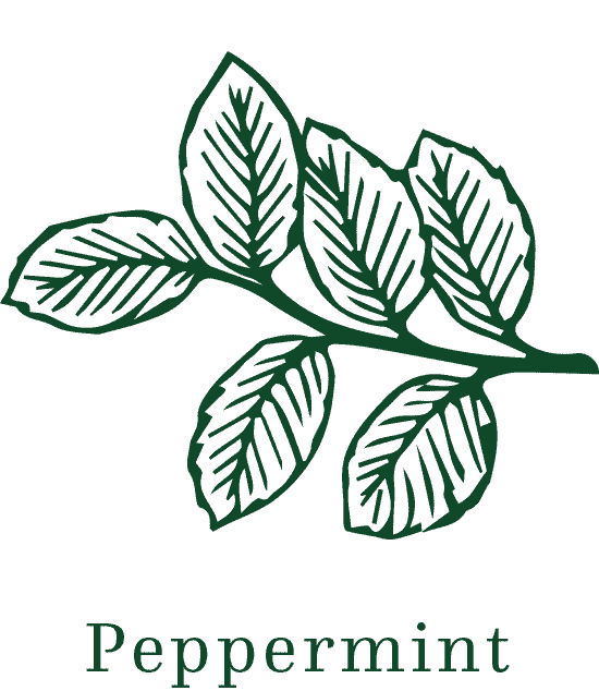 Ingredients-Peppermint.gif