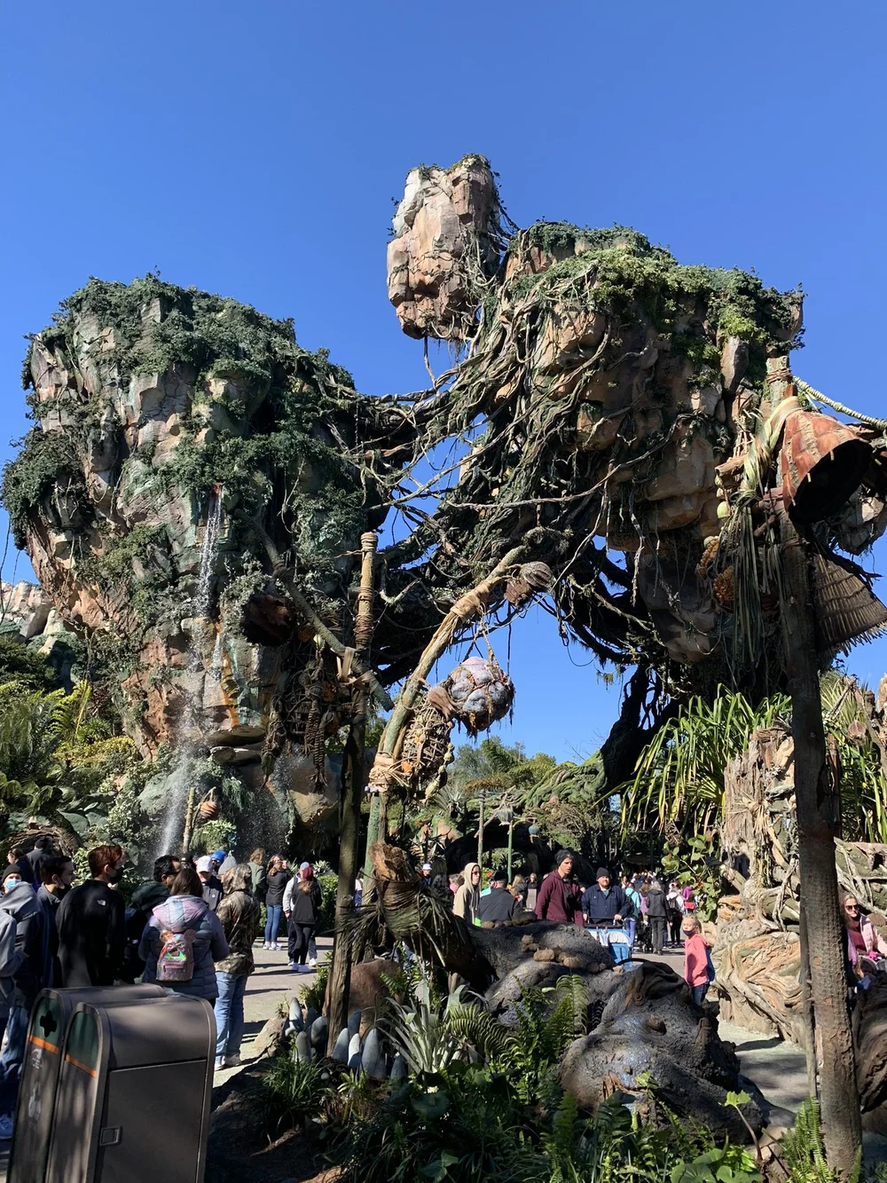 How to Rope Drop at Disney World LaptrinhX / News