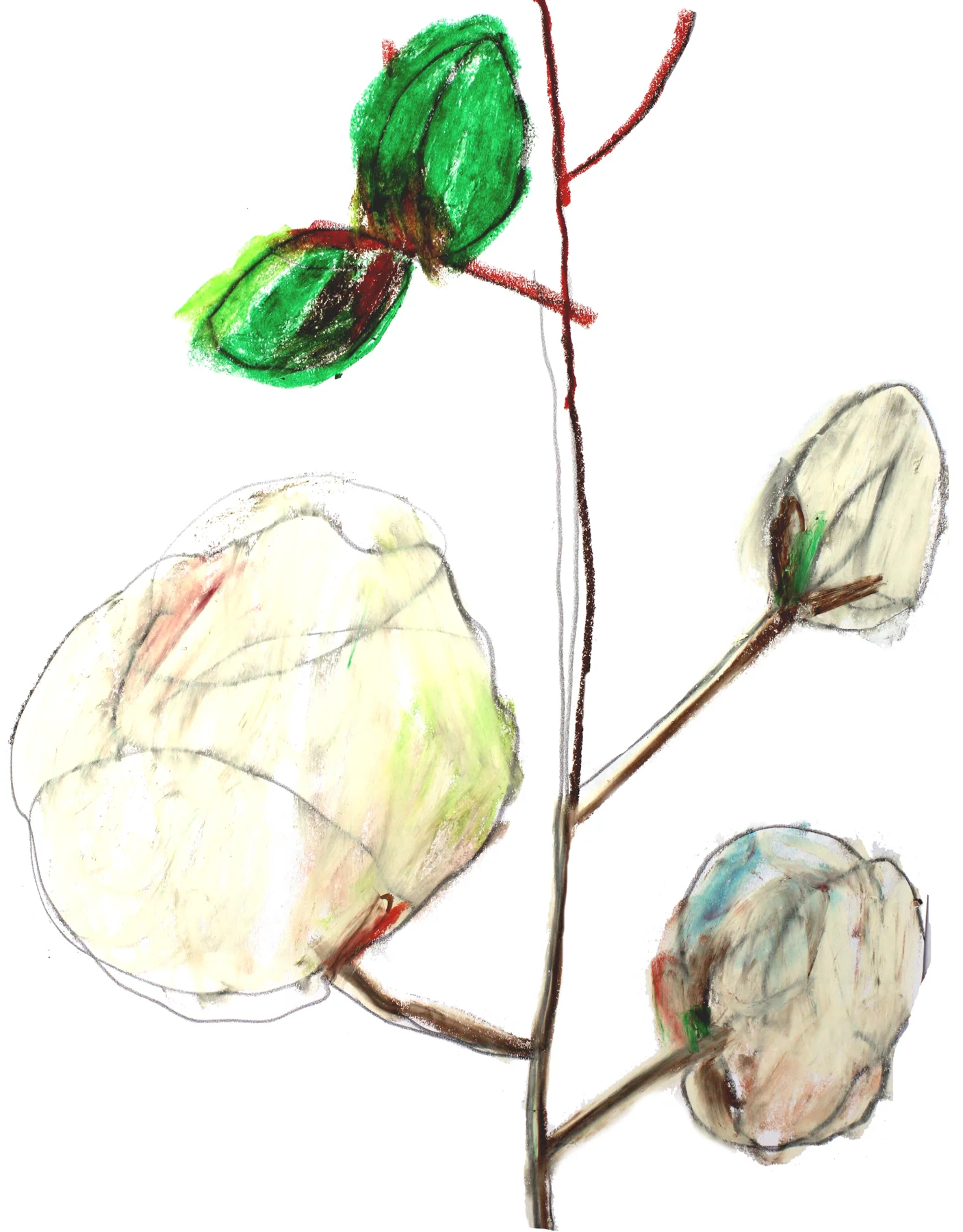 Animation