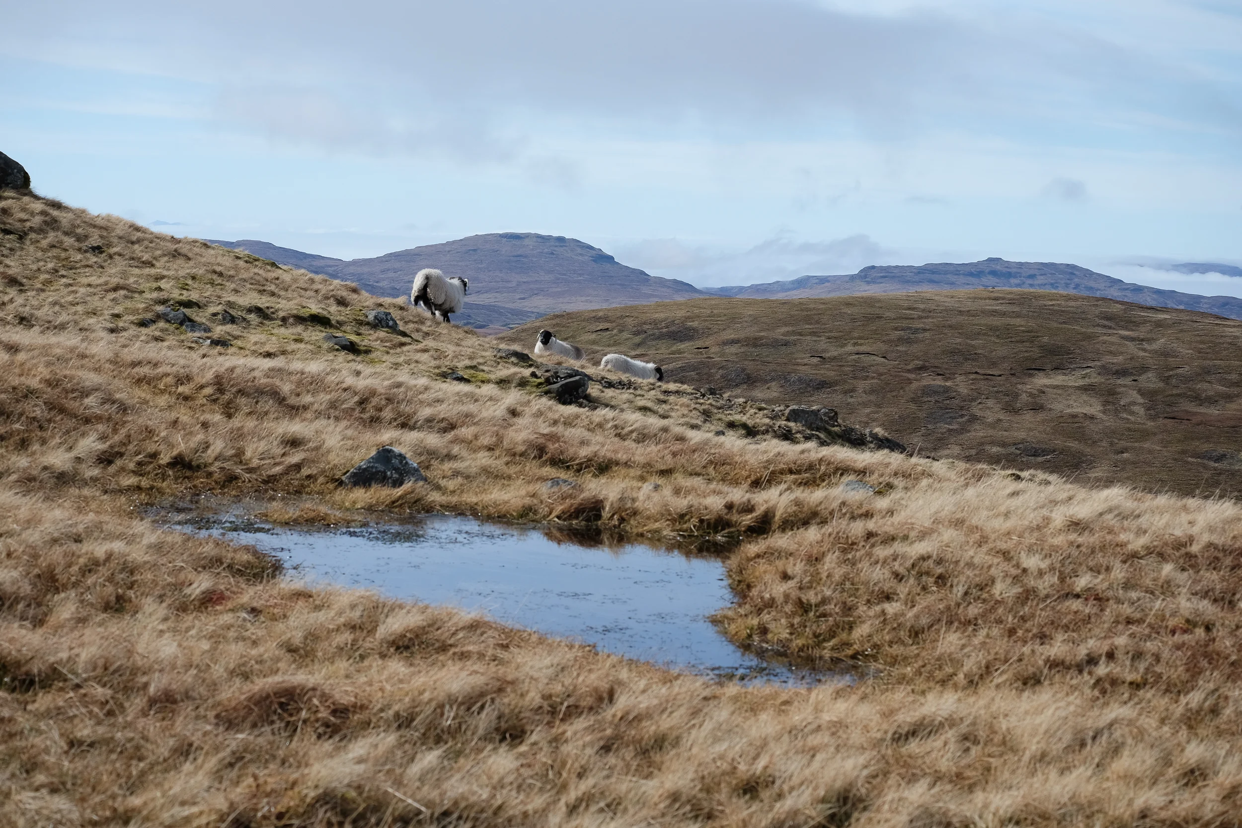 20150405-DSCF7489.jpg