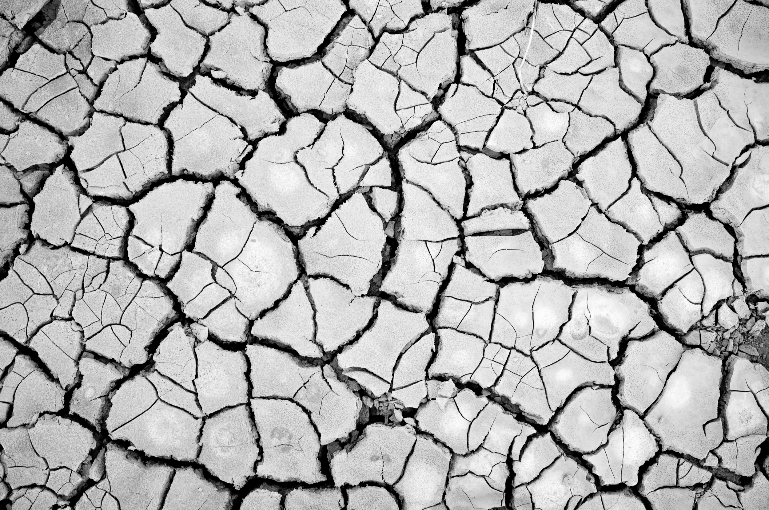 pattern-3.jpg