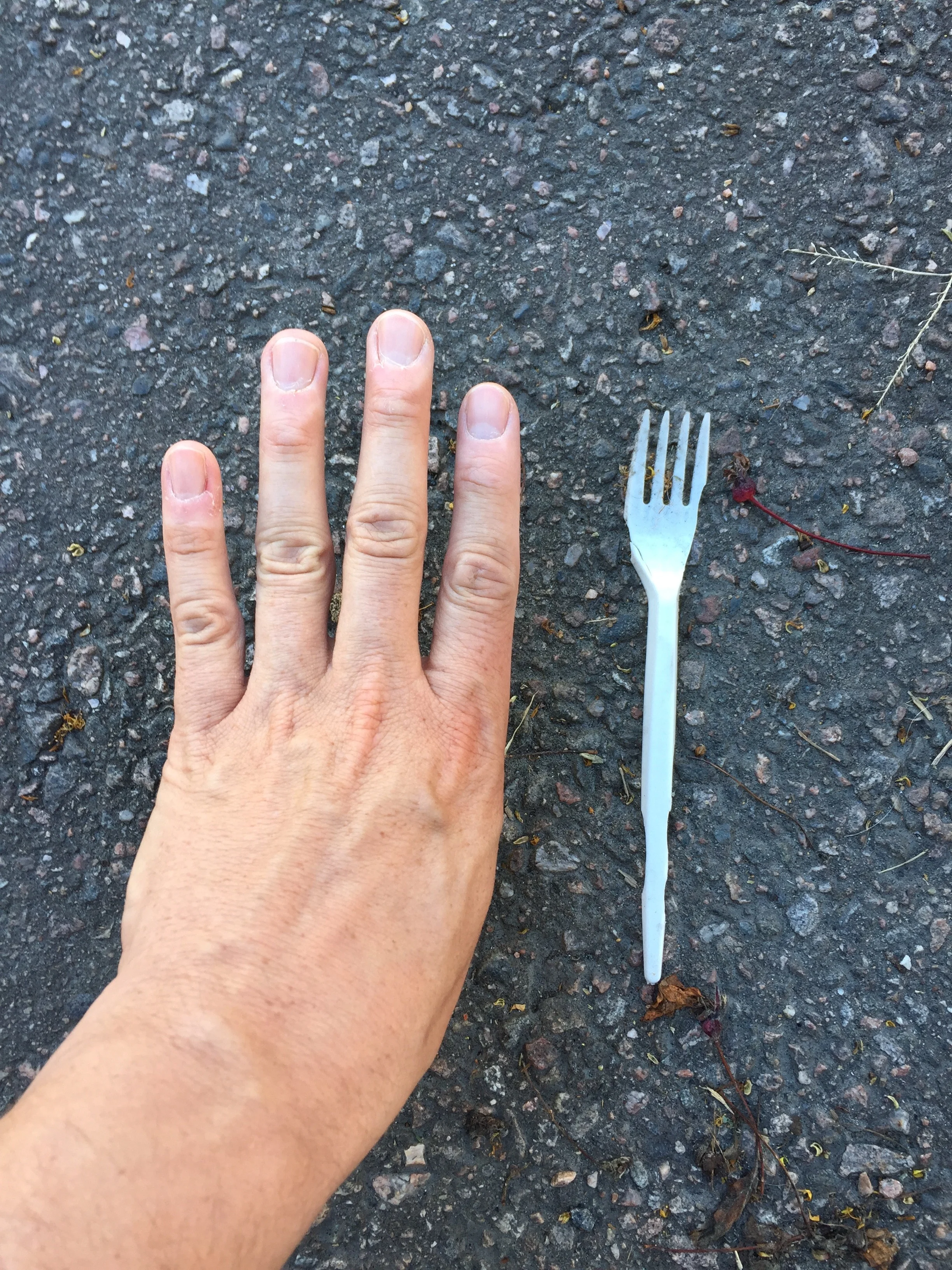 FullSizeRender_1.jpg