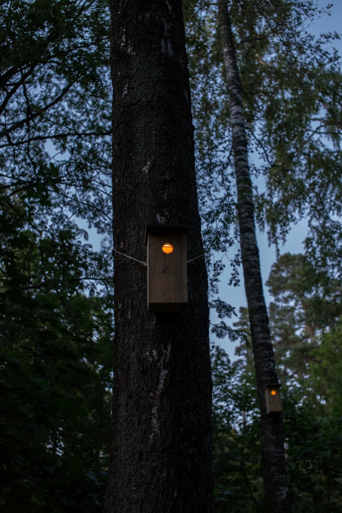  Kuva / picture by Otto Santala