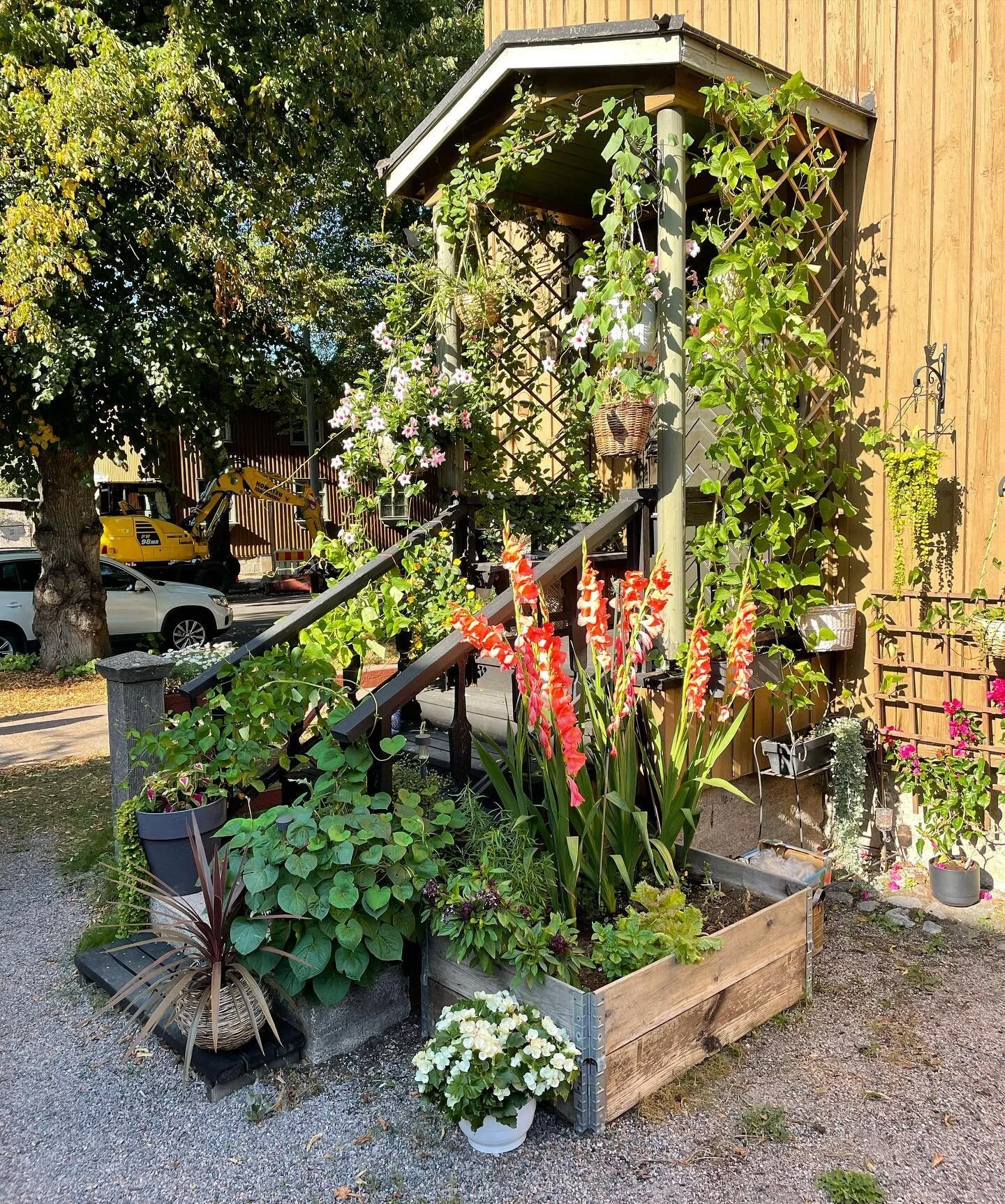 #🌺 #🌸 #🌼 #🌻 #🪴 #🌿 #🌱 #🌷 #🌞