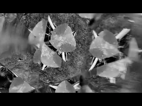 Satoi - Faking Satisfied Existence Without Purpose