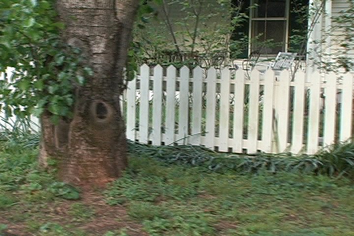 picketfence.jpg