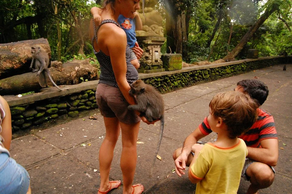 Monkeying around