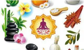 yogi habits 2x1.jpg