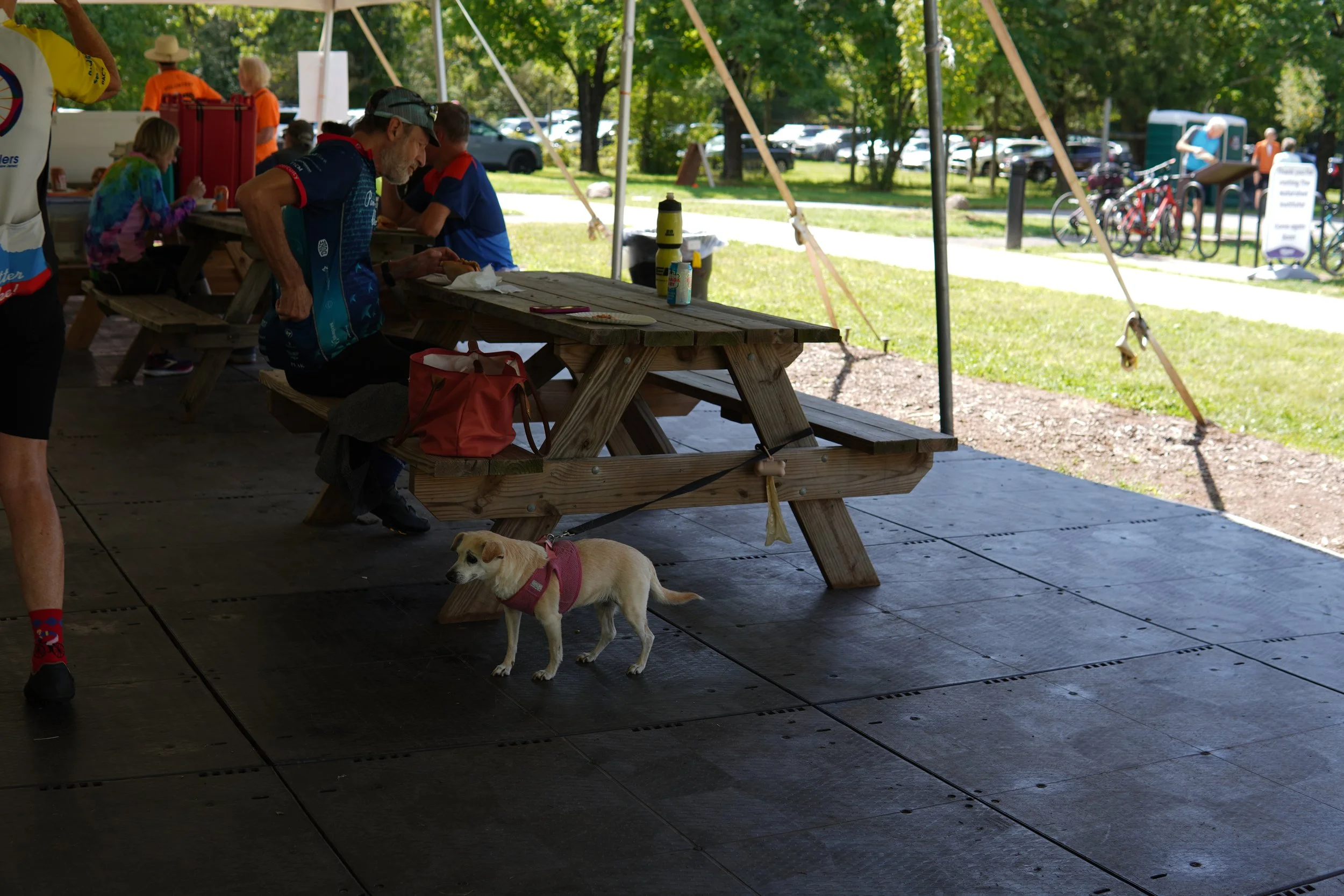 DSC08593.JPG