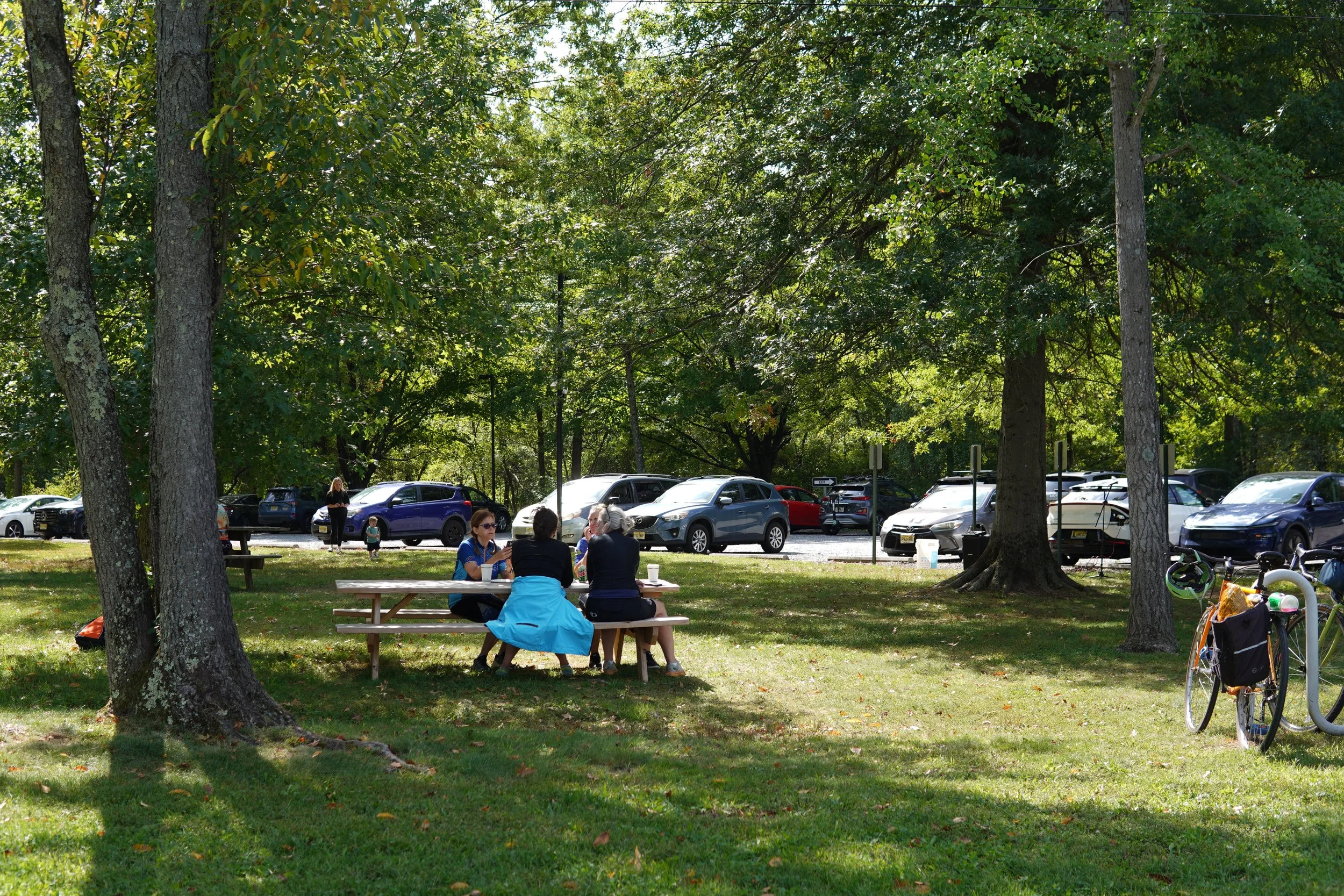DSC08497.JPG