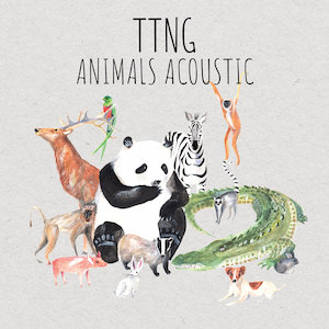 TTNG : Animals Acoustic