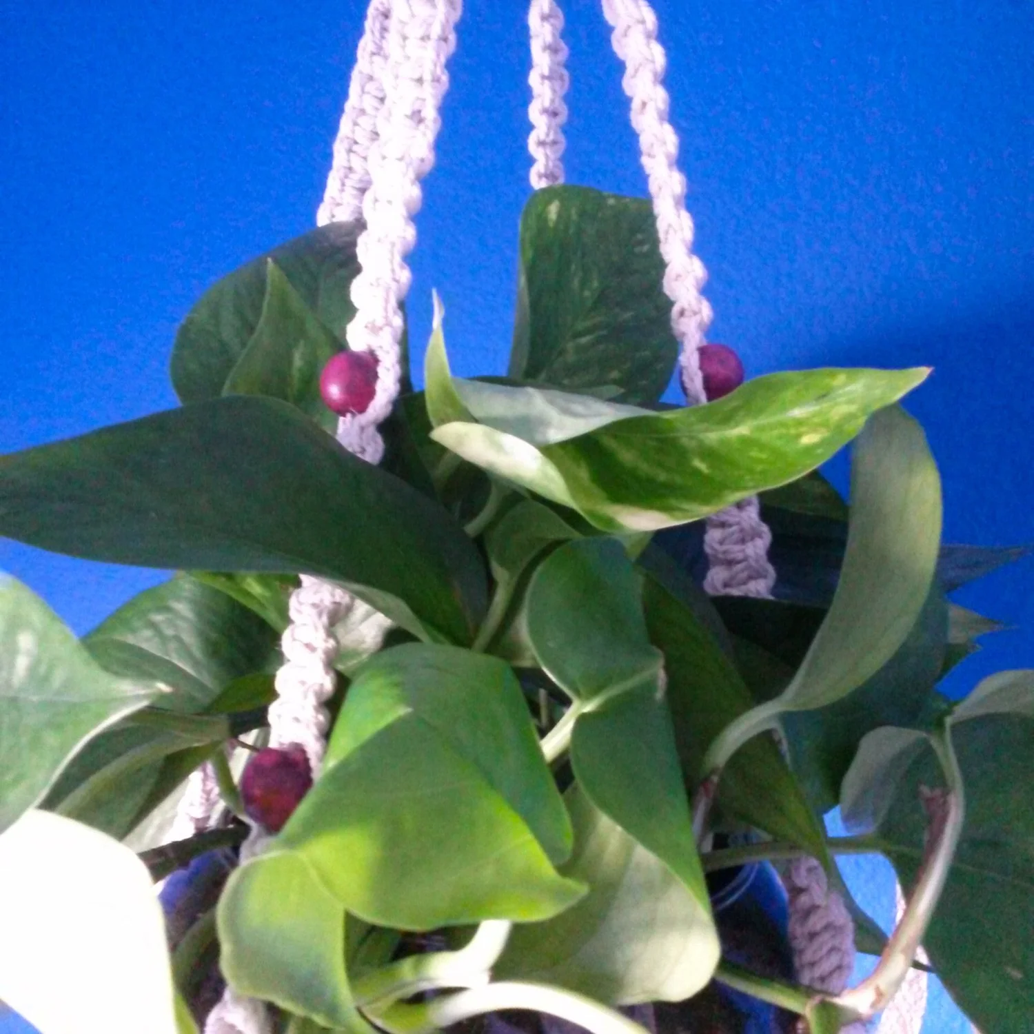 Macrame plant hanger handmade in natural cotton cord and pink wood beads. Retro bohemian decor. By Effortlessly Eclectic.