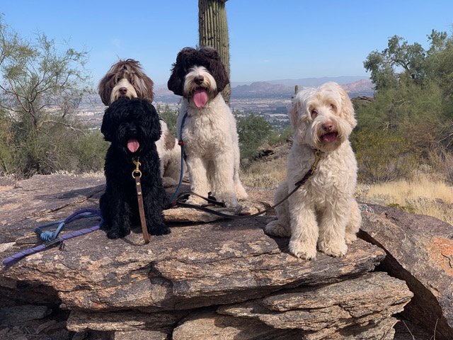 Girls on the desert hike.jpeg