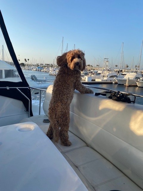 LArkin on the boat .JPG