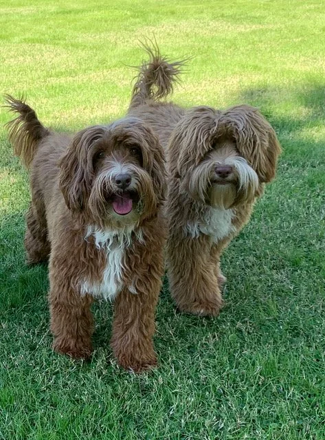 Bravo and Macy Happy Couple! .jpeg