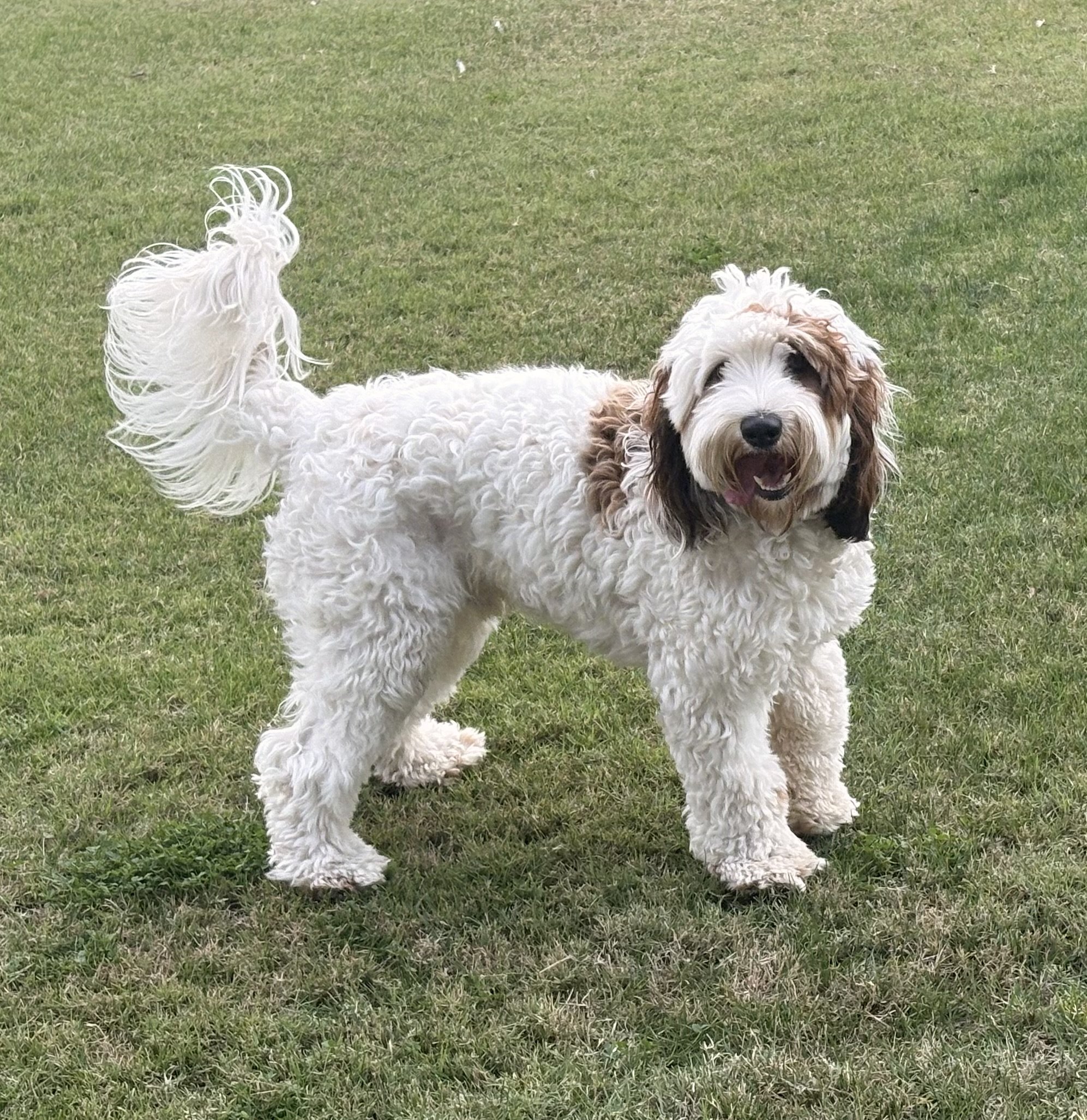 Glacier 1 year .jpeg