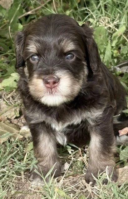 Mela 4 weeks Sugar and Spice .jpeg