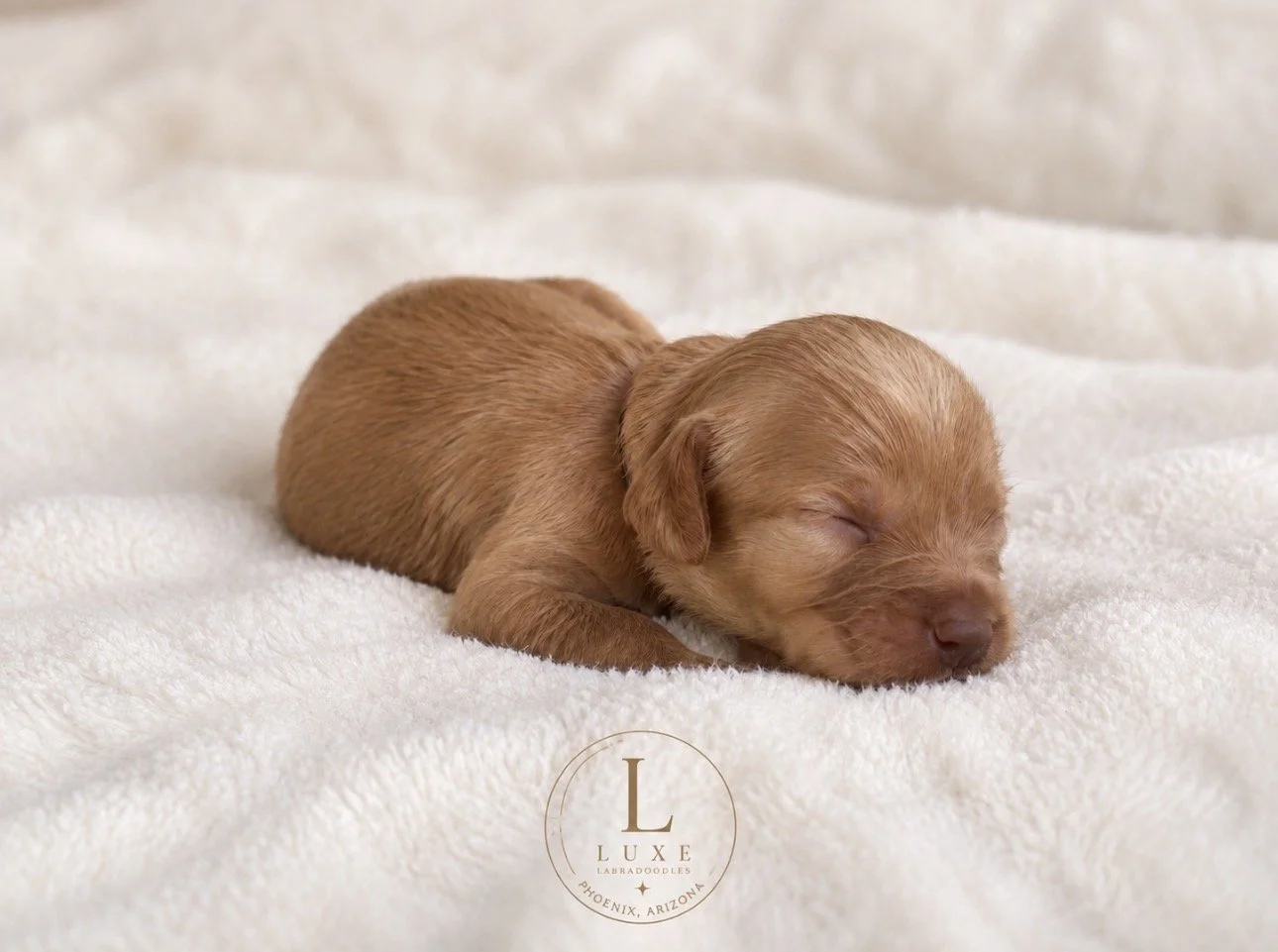 Soleil 2 weeks NN.jpg