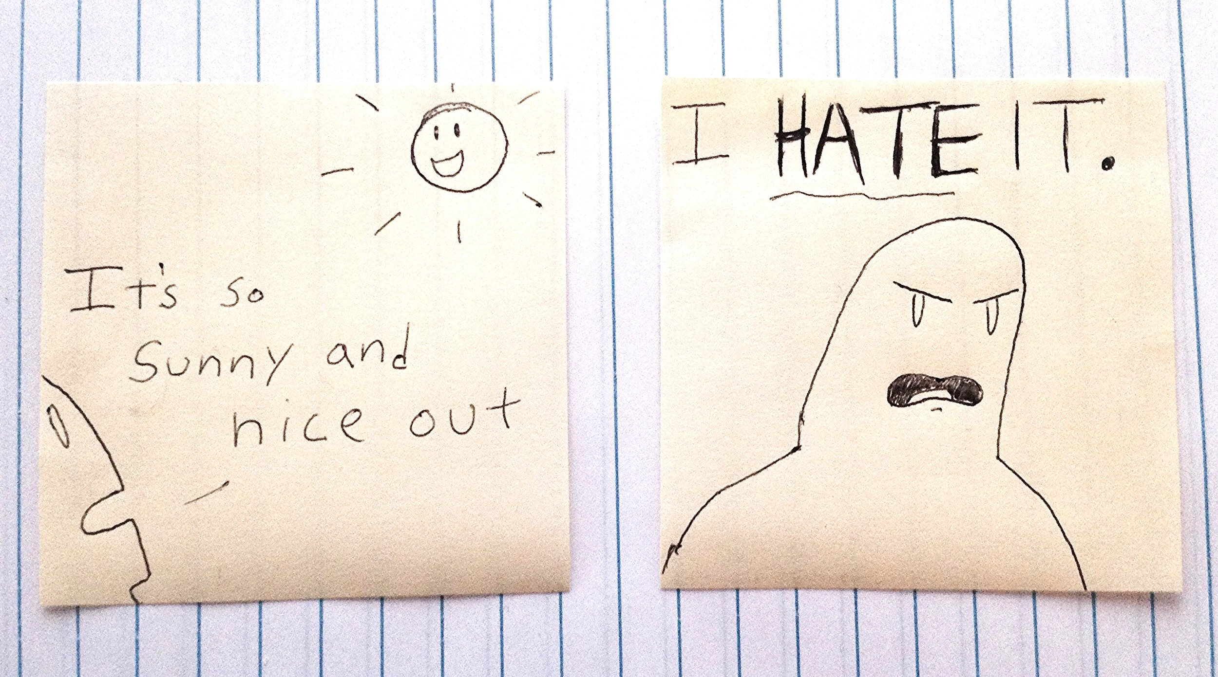 sunny and nice 1.jpg