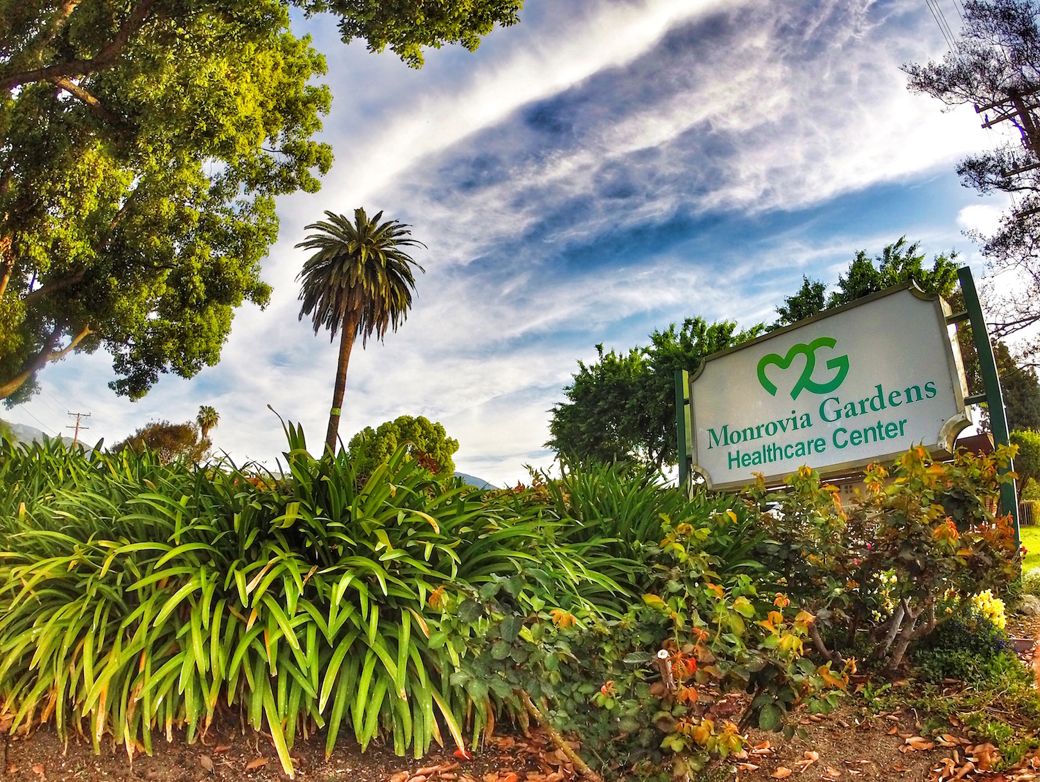  Welcome To Monrovia Gardens,   We're glad to have you.    Schedule An Appointment Today  