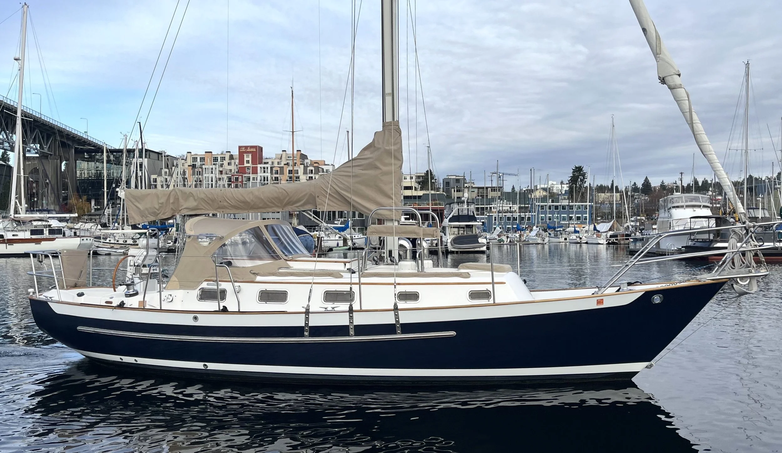 PCS31 Murphy - Lead.jpg