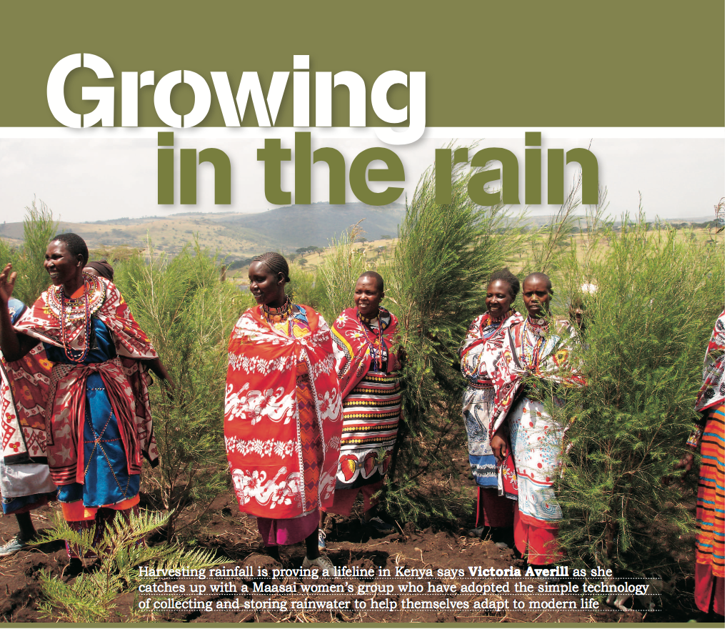 Growing in the rain. Kenya 2008