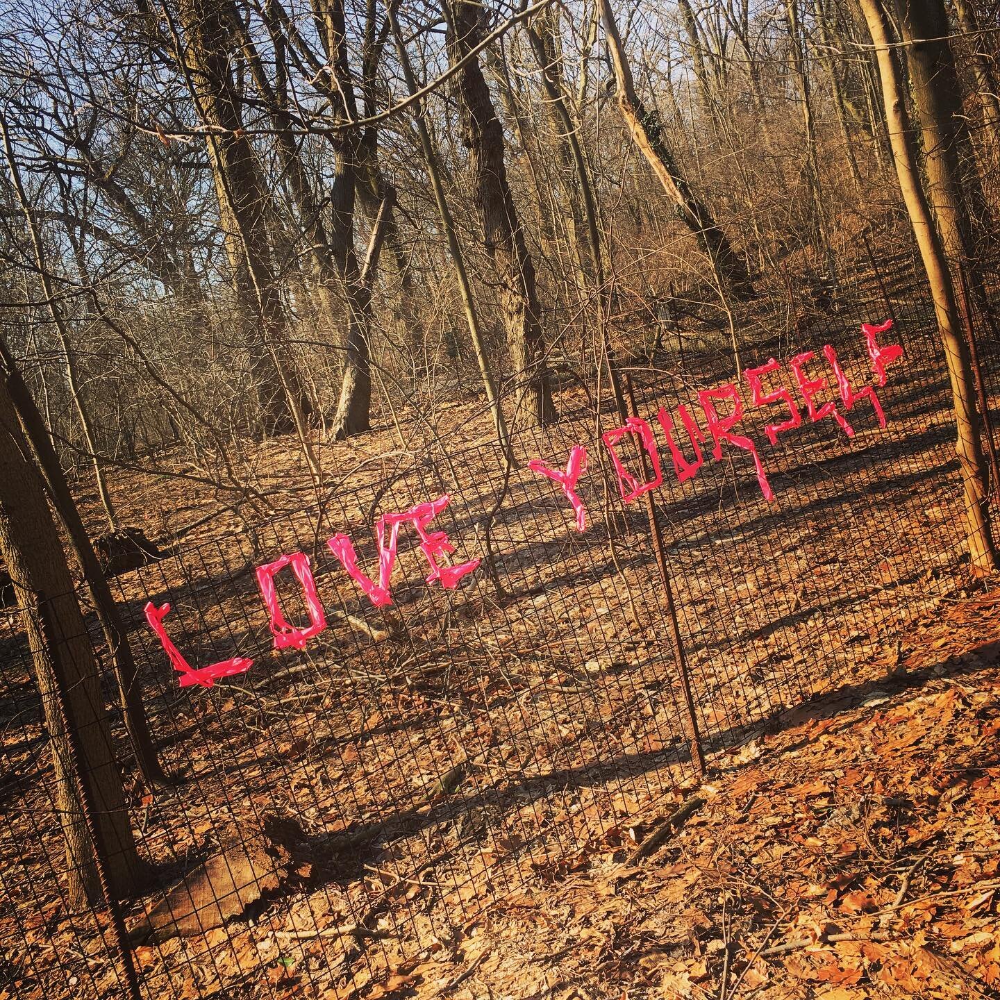 A little piece of guerrilla art found in a park yesterday. A good reminder for all, to be sure!
.
#sidewalkwisdom #guerrillaart  #springiscoming #loveyourself