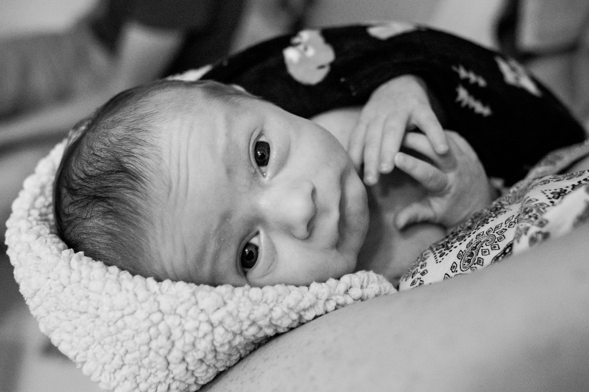 jacksonville-newborn-photographer-19.jpg