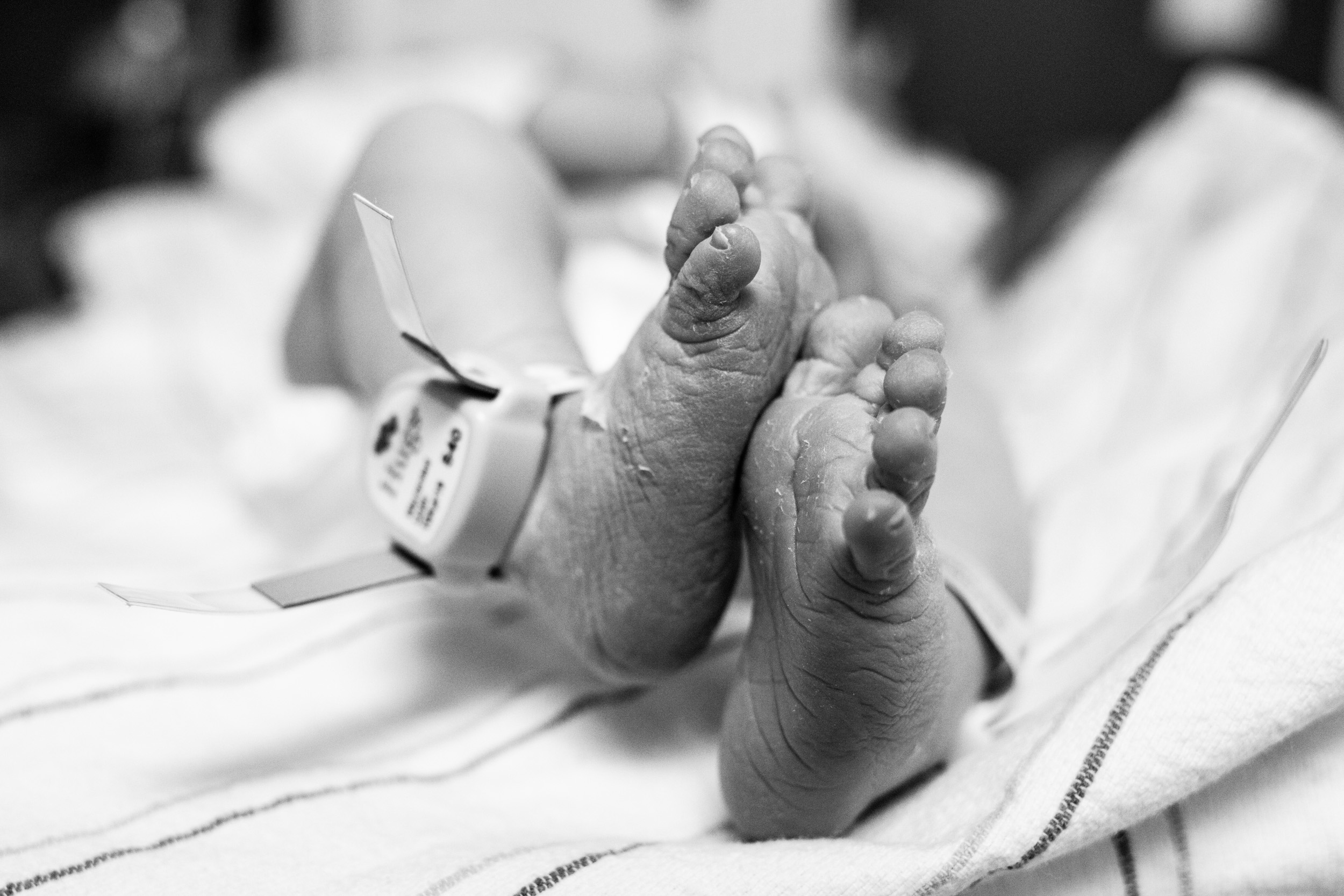 black and white photo of baby feet