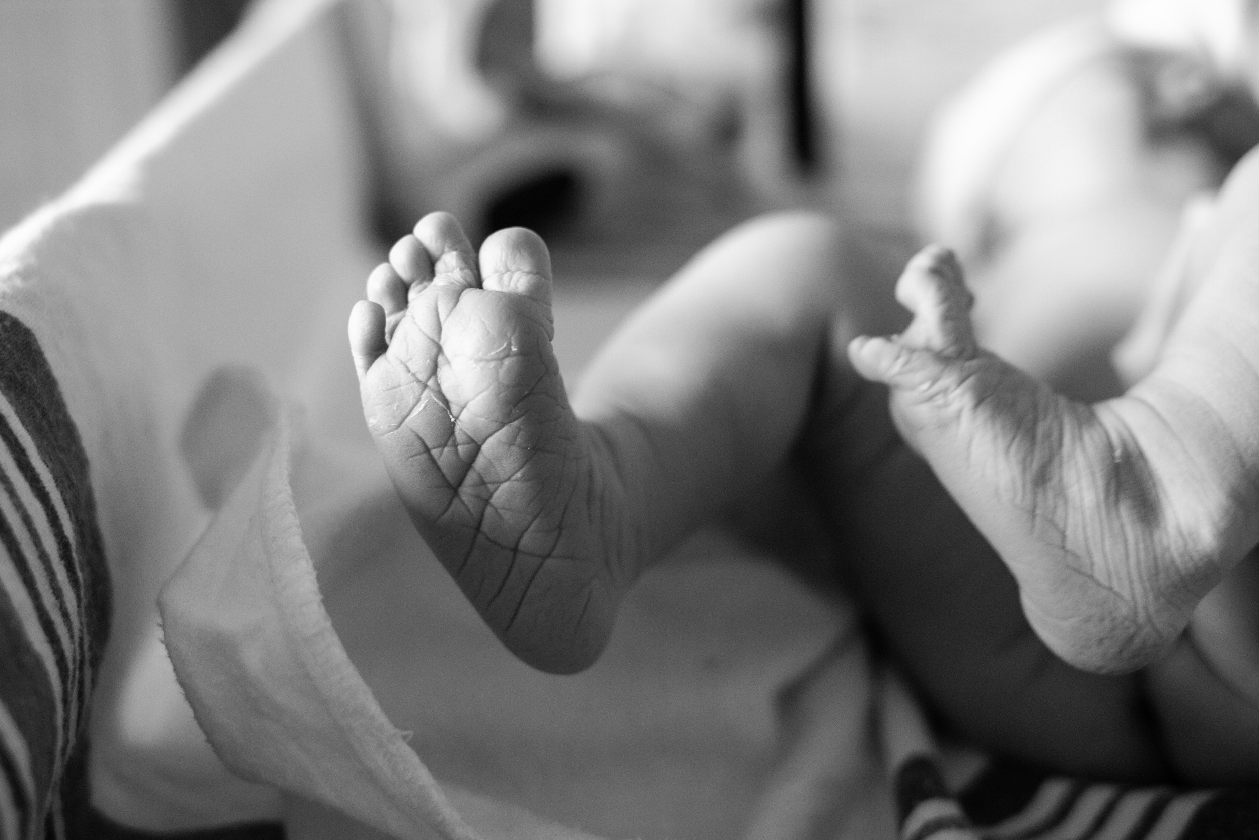 newborn baby feet