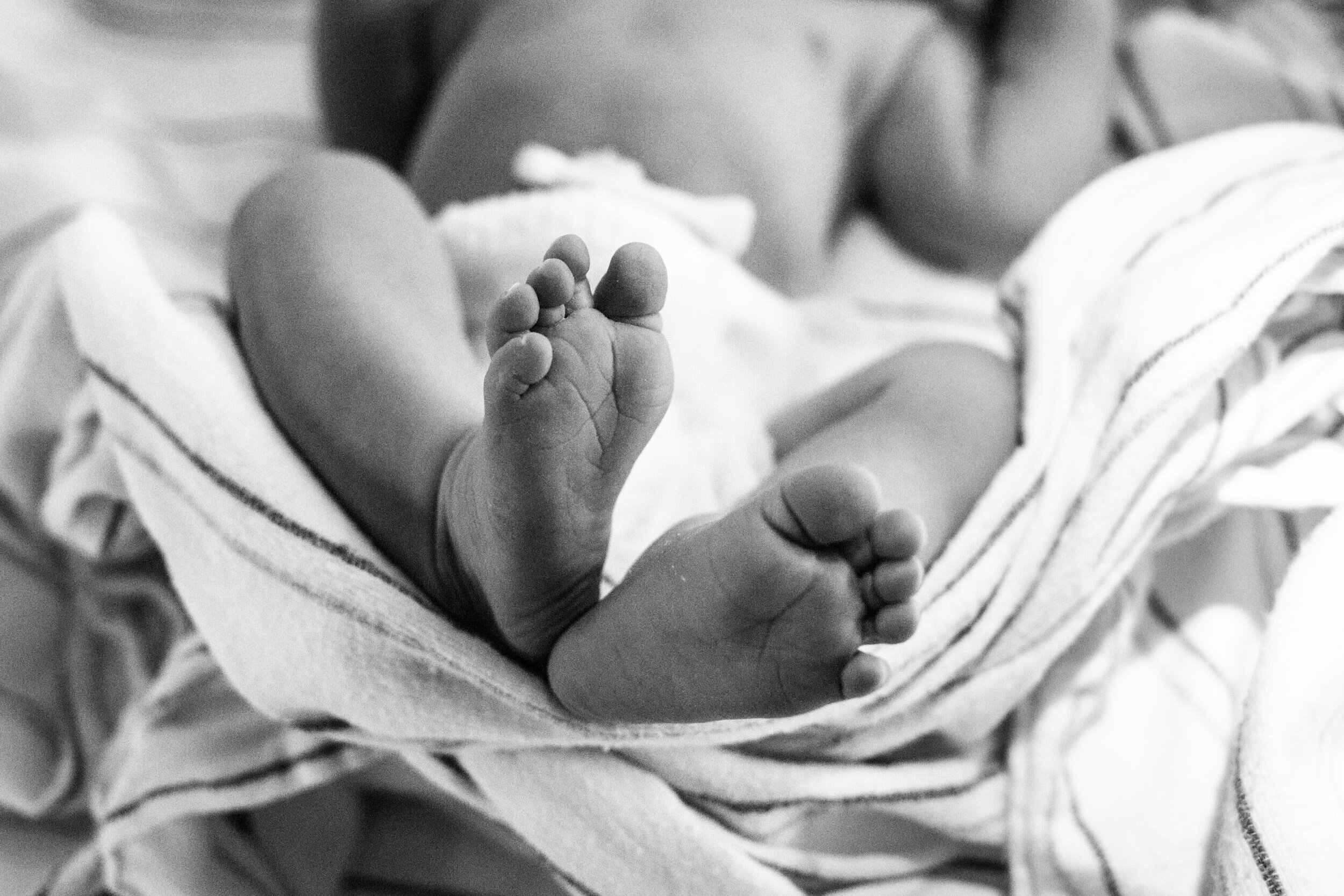 gainesville newborn baby feet