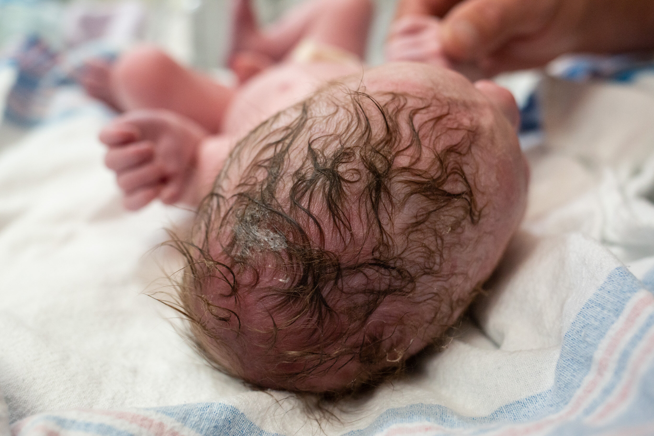 newborn baby hair