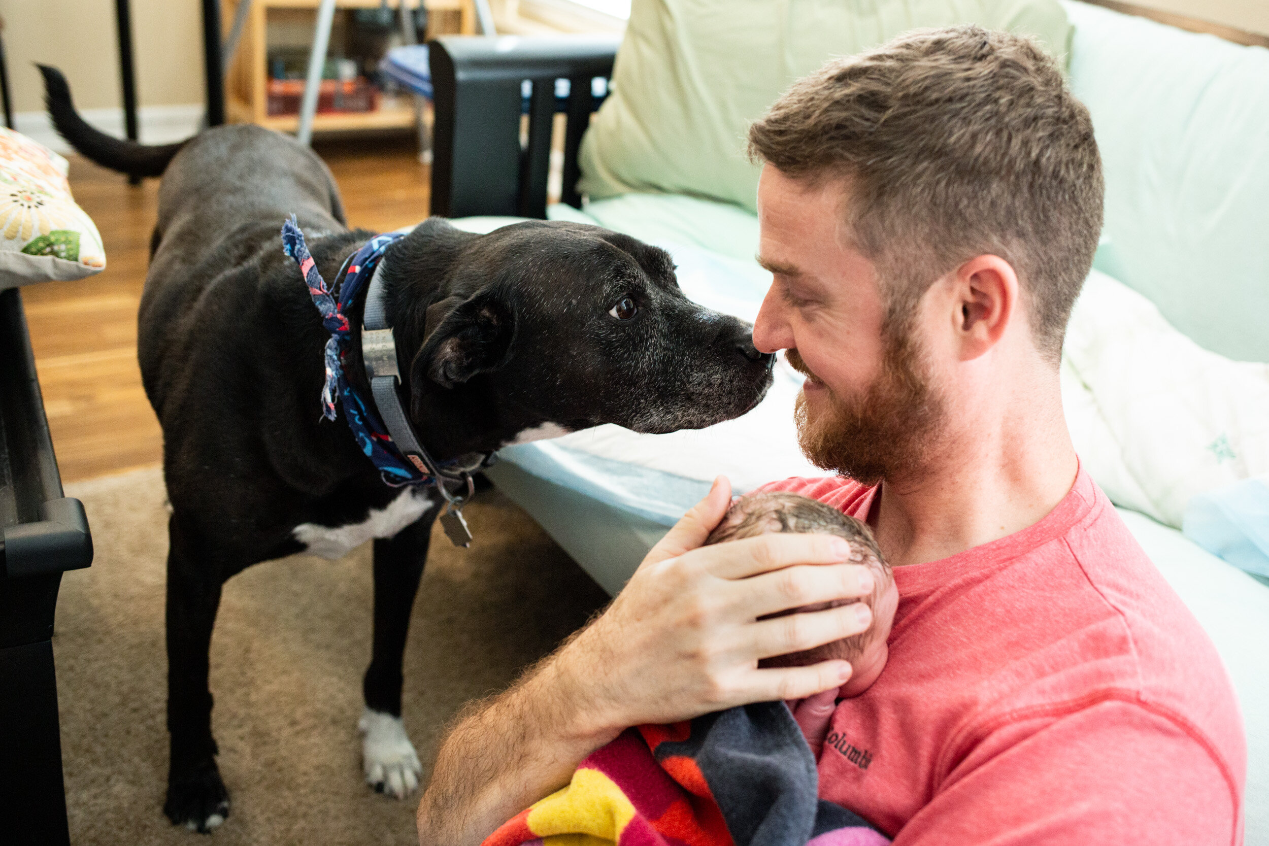 dog nose-to-nose with dad holding newborn