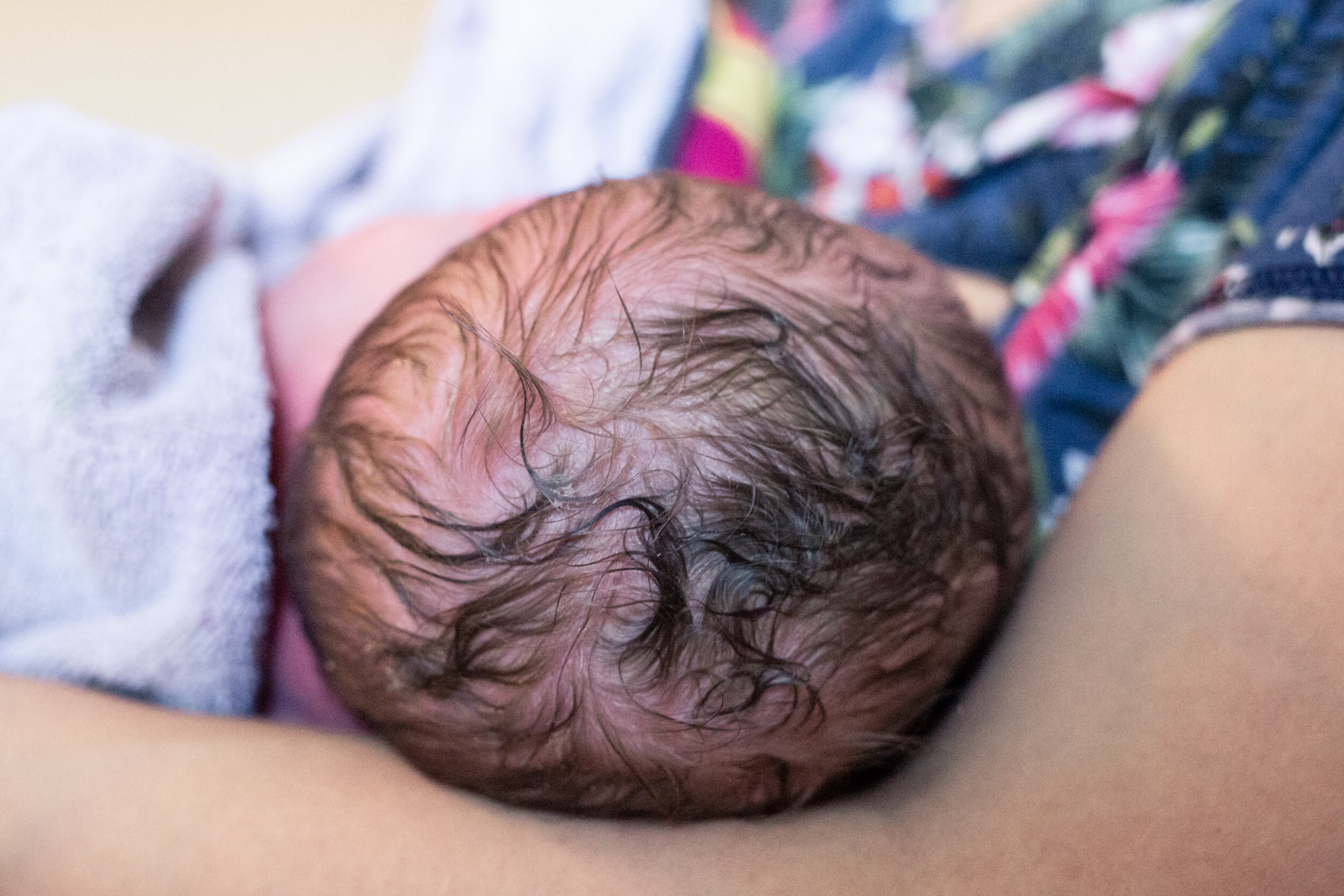 newborn baby head of hair