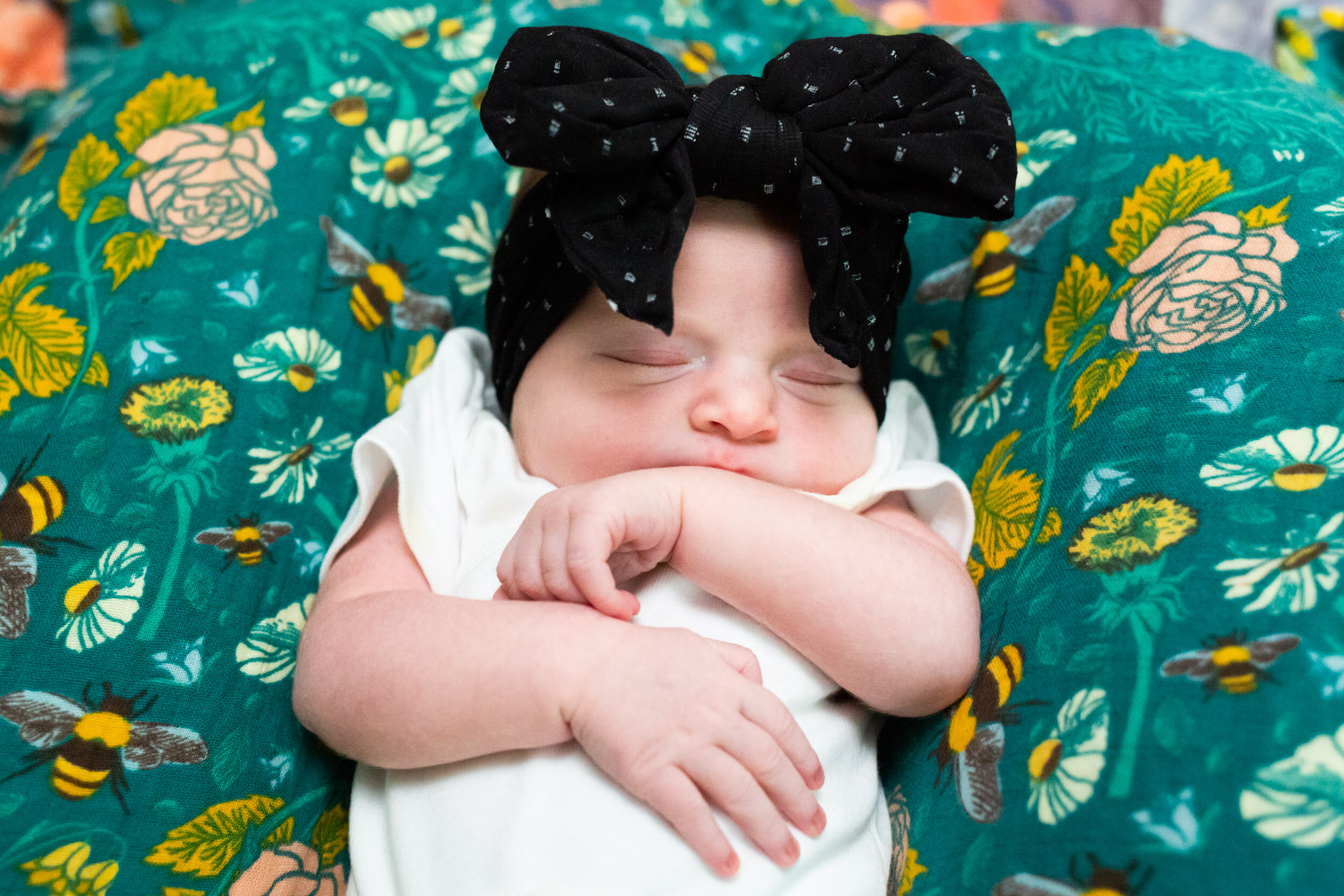 newborn baby girl cuddled up with a bow on her head