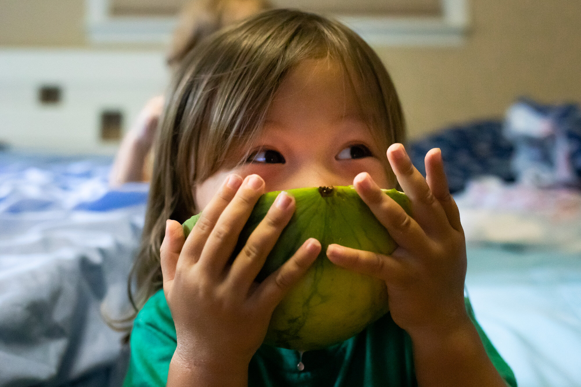 little boy eating a watermelon