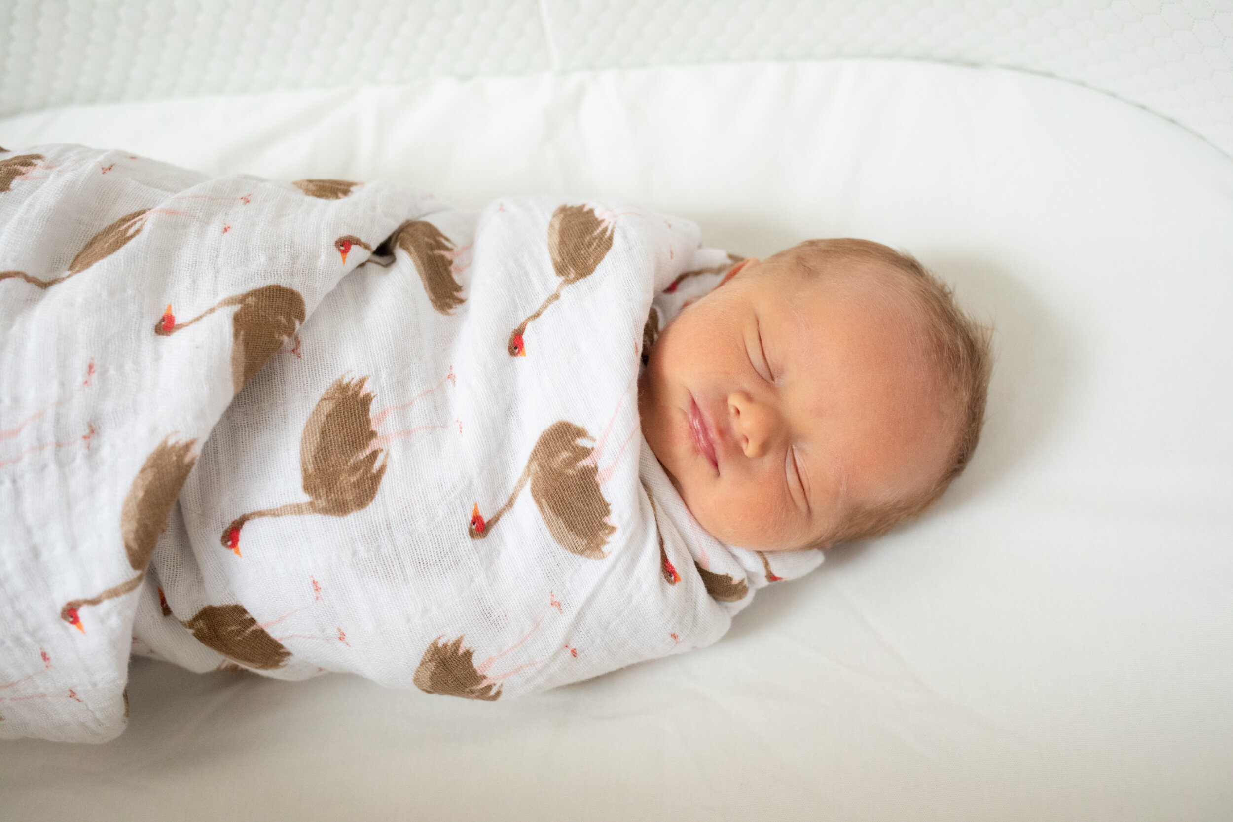 baby girl sleeping sweetly in her bassinet