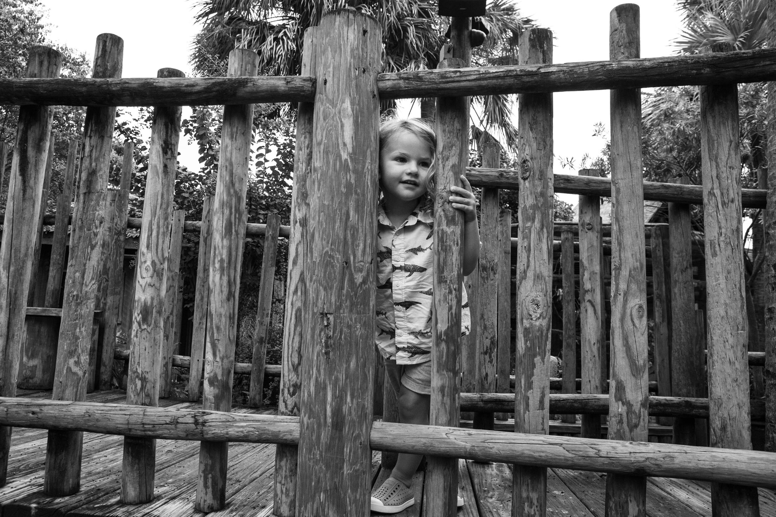 child looking through fence at zoo