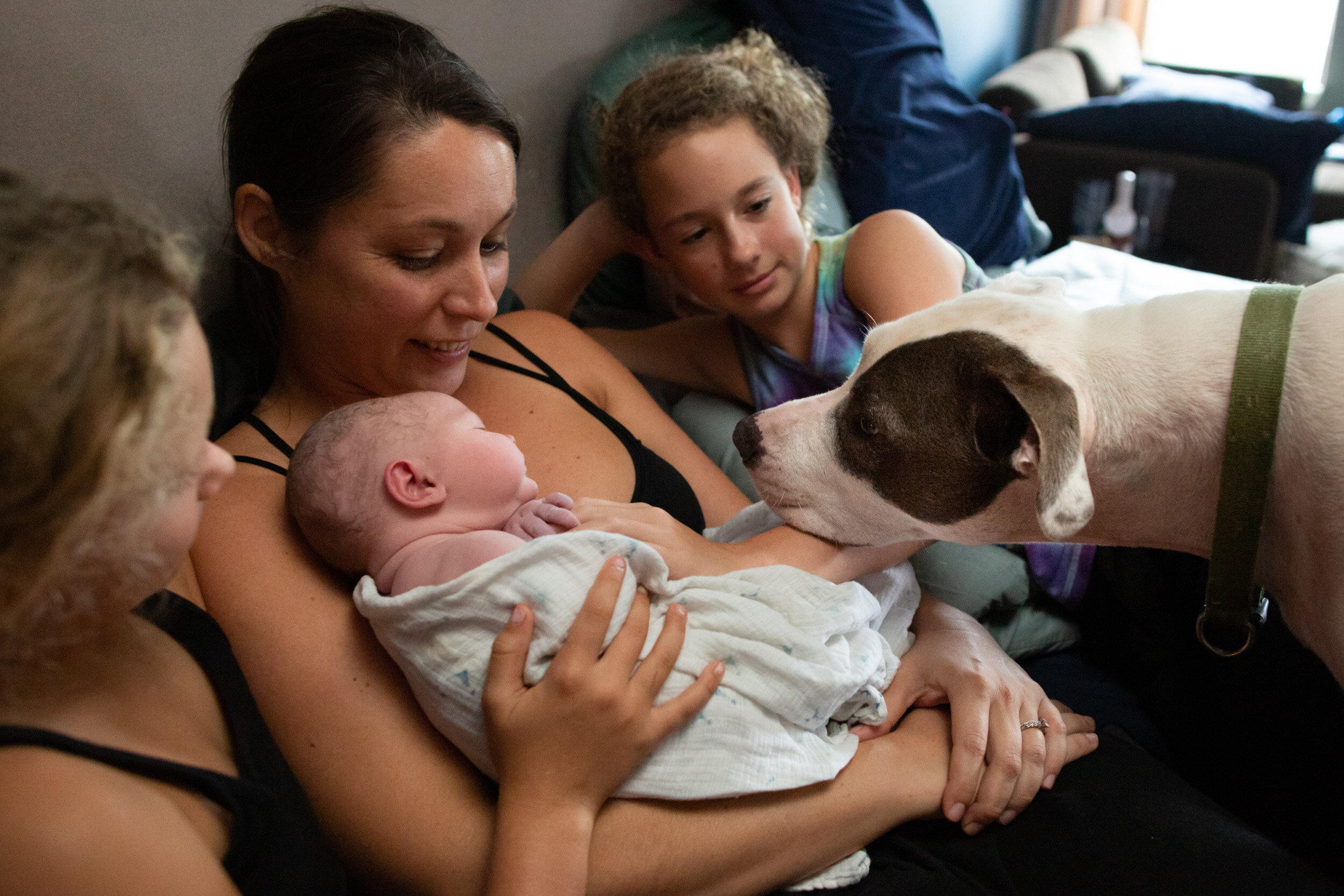 sisters looking on while mom holds newborn baby and dog sniffs her