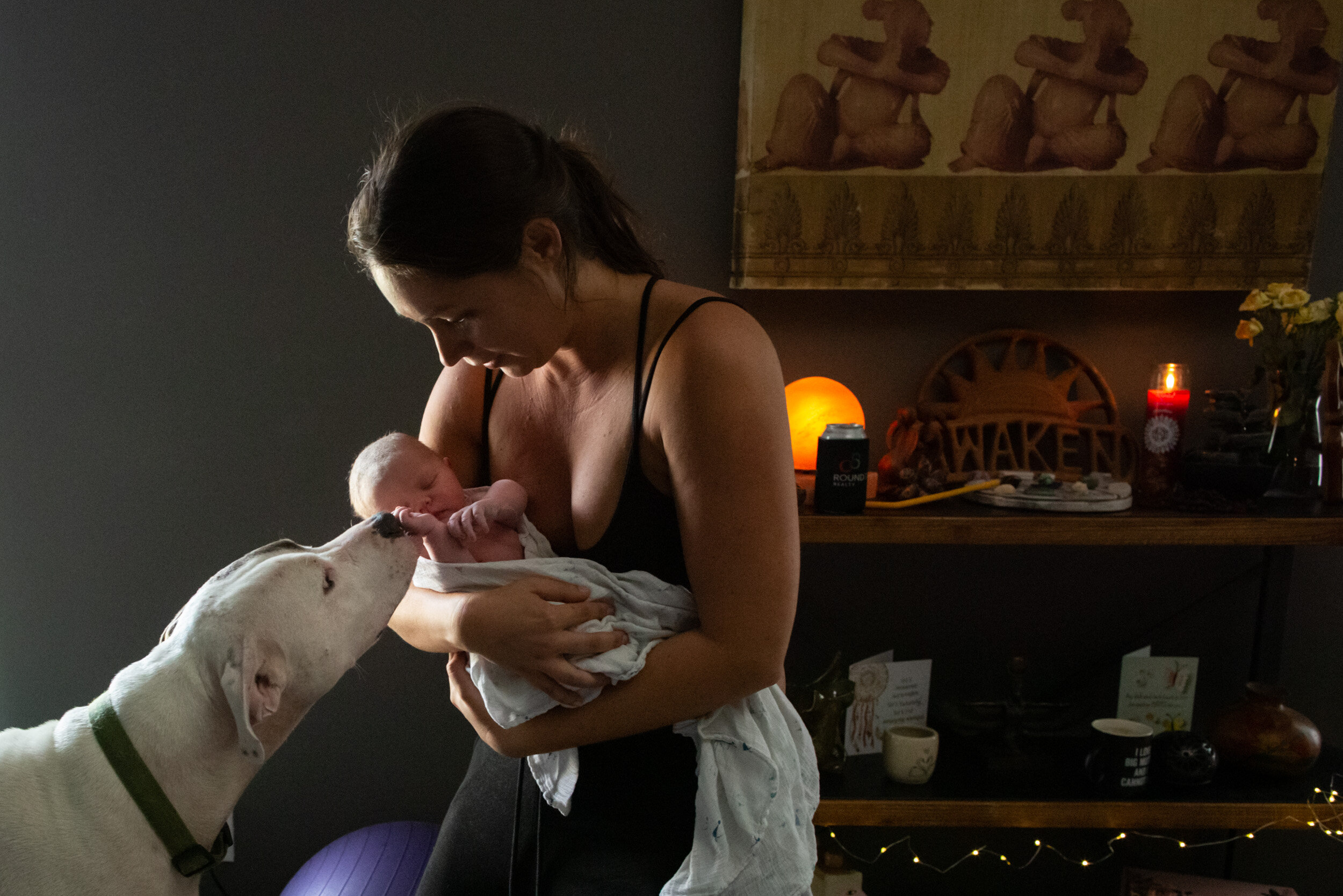 st. augustine dog meeting newborn baby girl