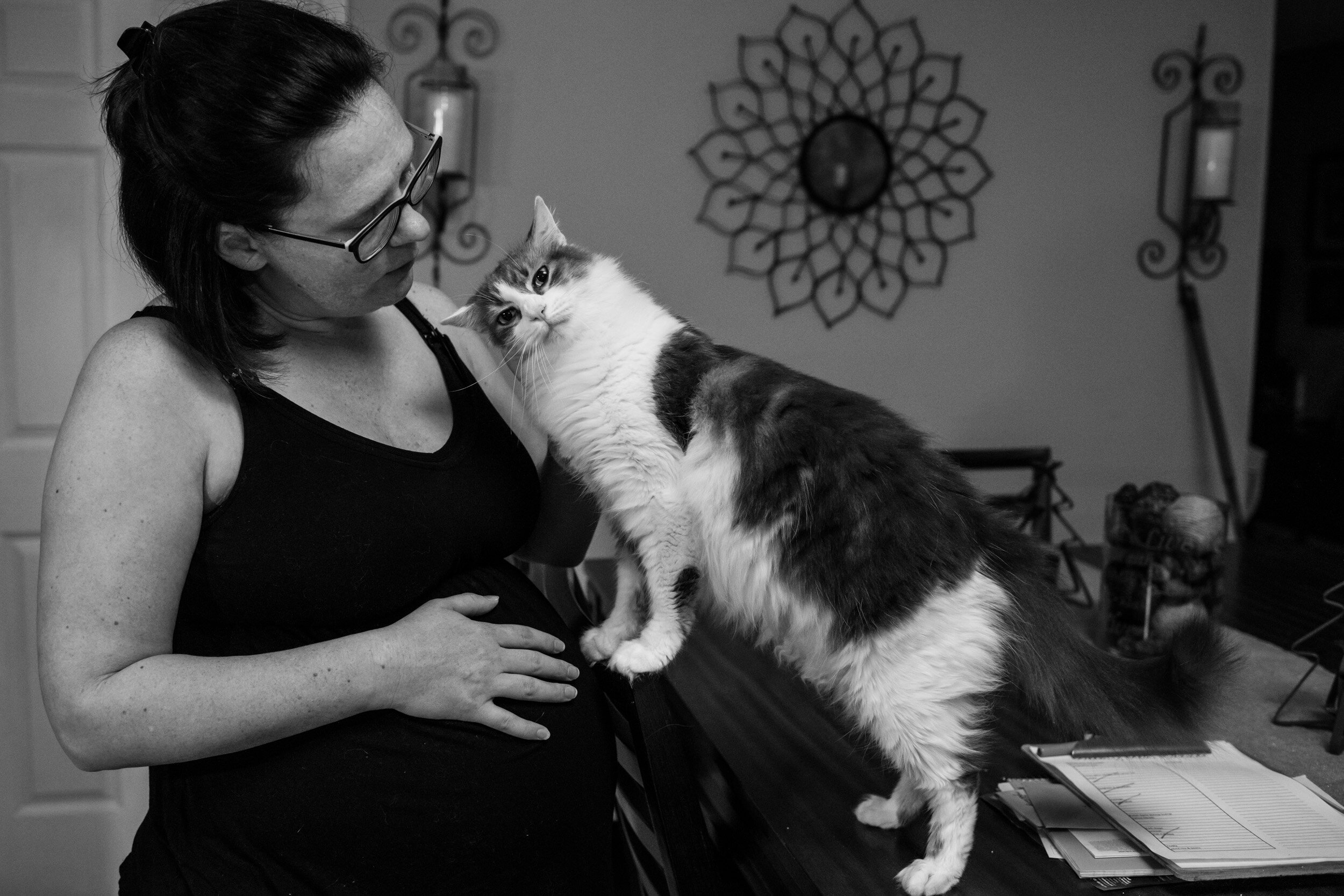 pregnant mom petting cat