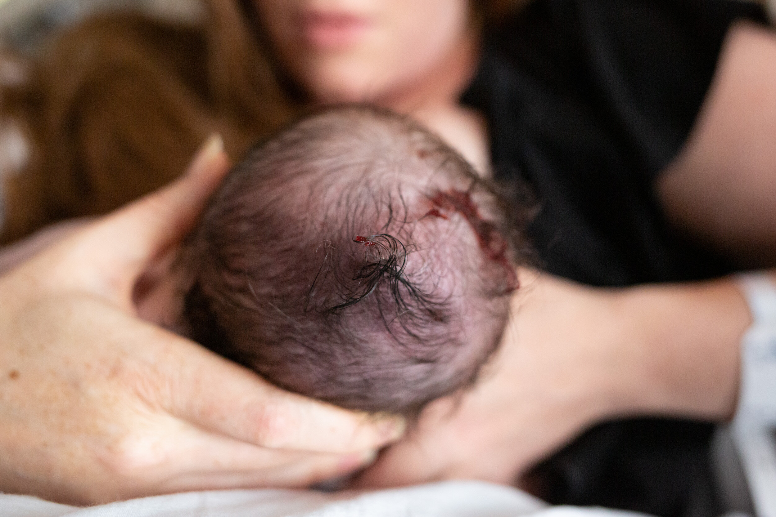 texture of newborn baby's hair just after birth