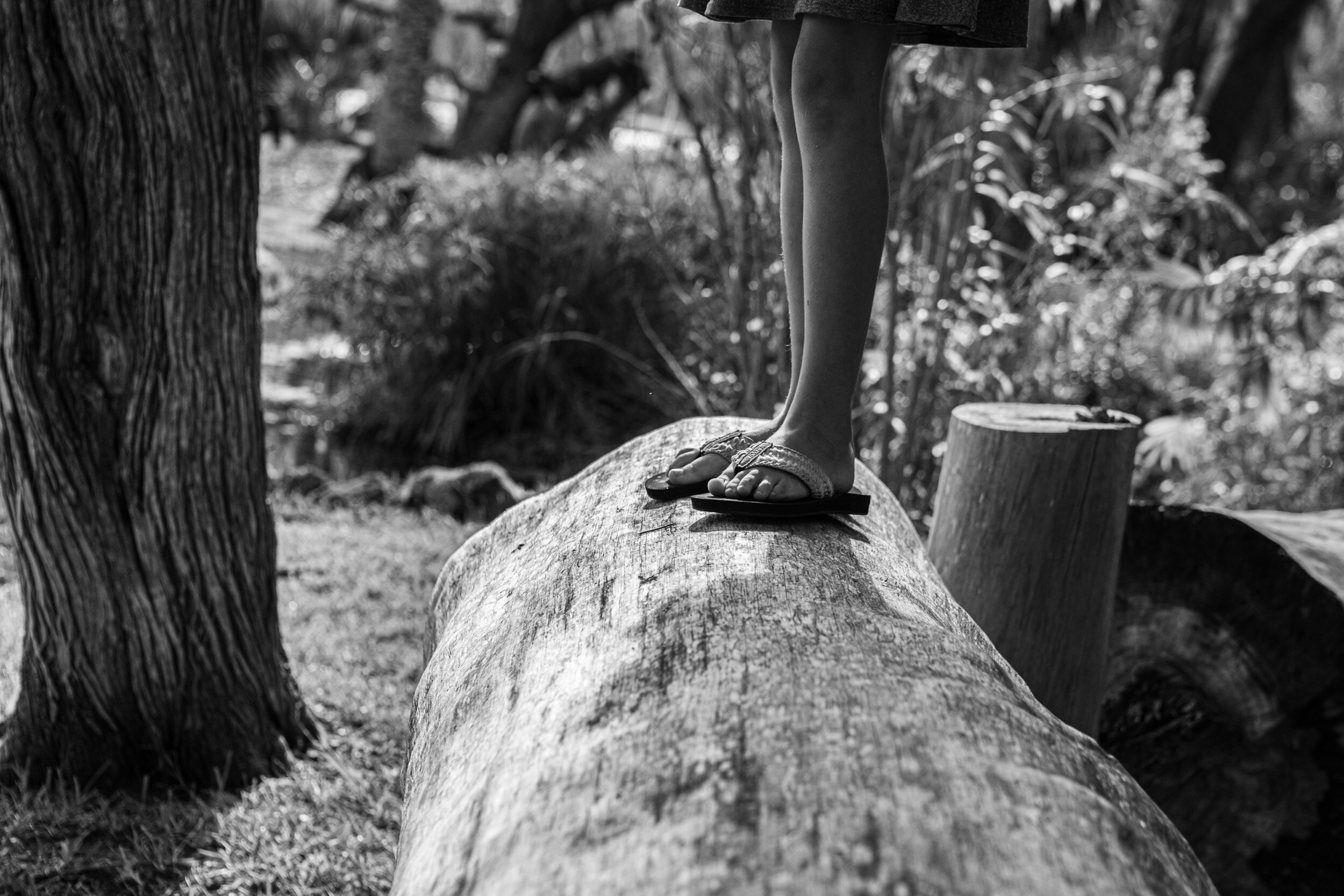 little girl balancing on a log
